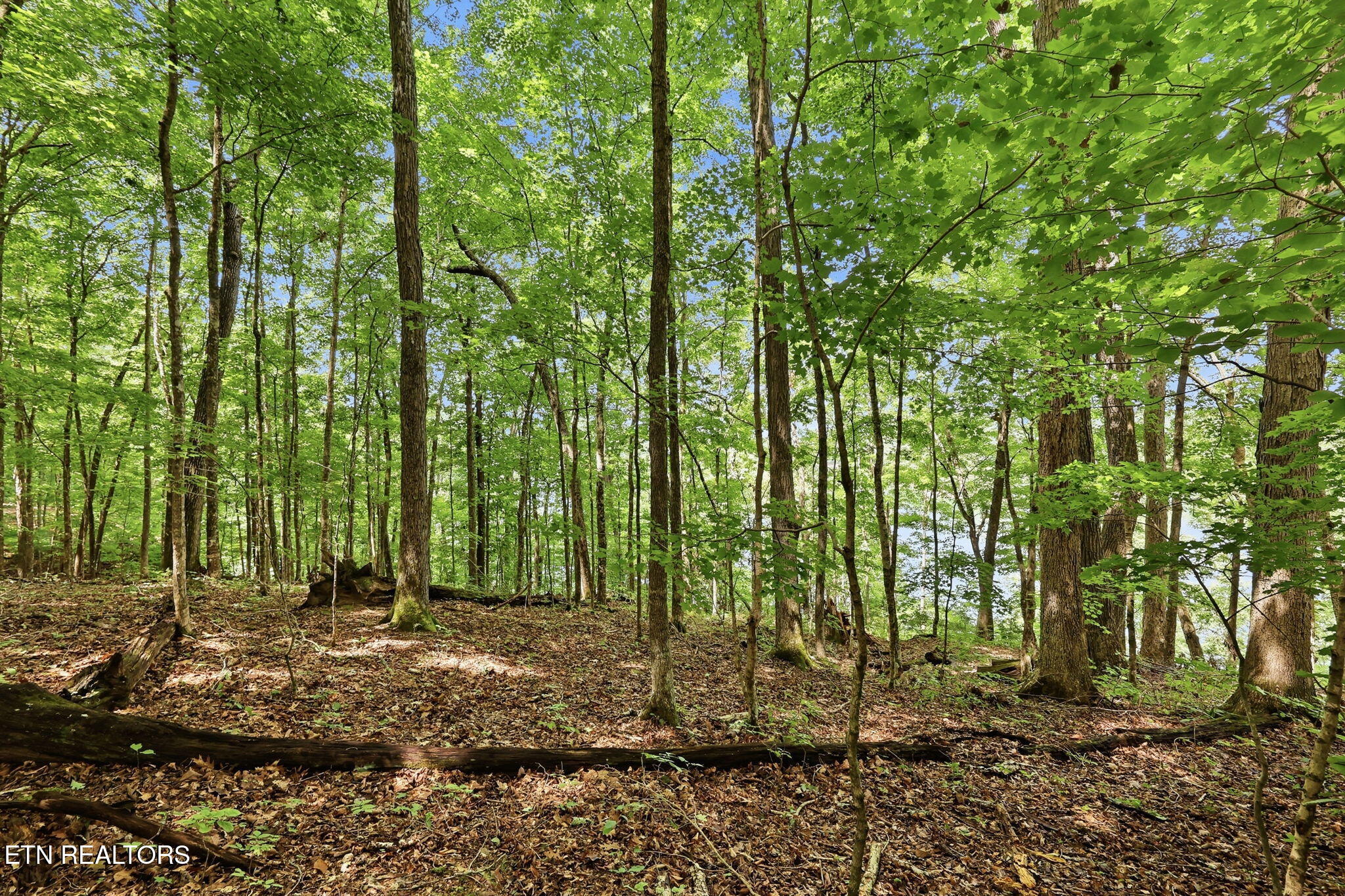 Lot 17 Tumbling Run Estates Maynardville TN 37807