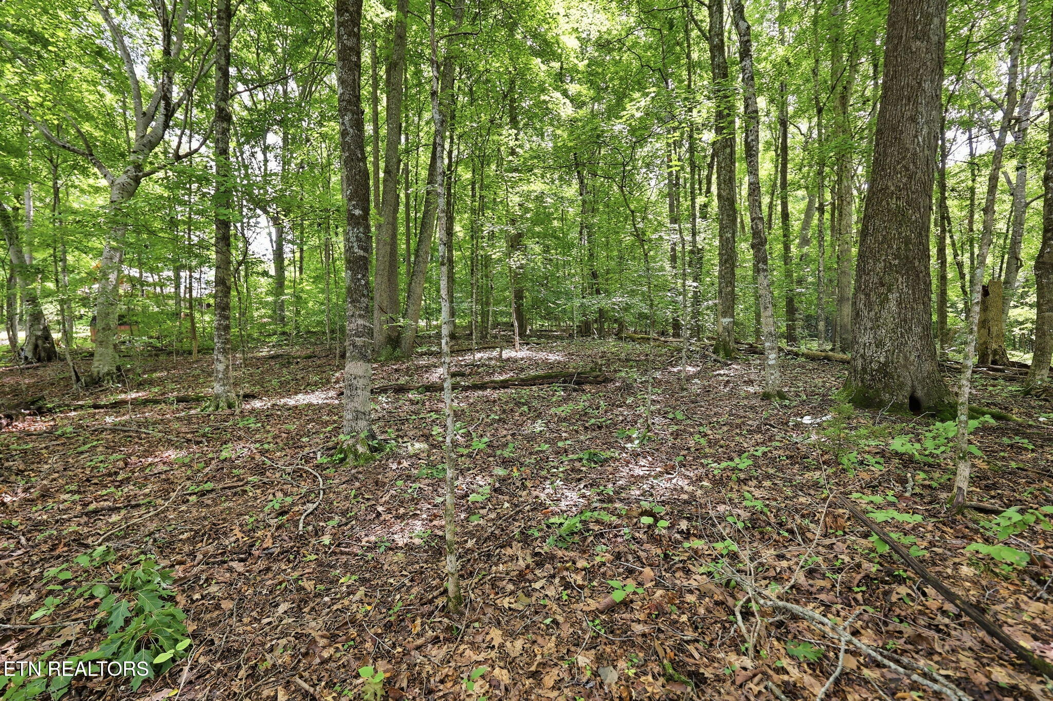 Lot 17 Tumbling Run Estates Maynardville TN 37807