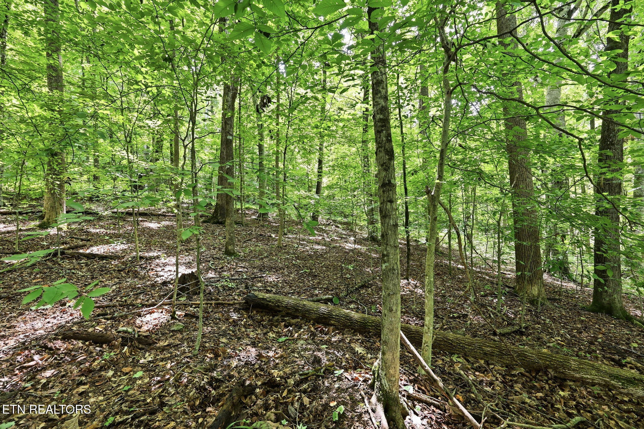 Lot 17 Tumbling Run Estates Maynardville TN 37807