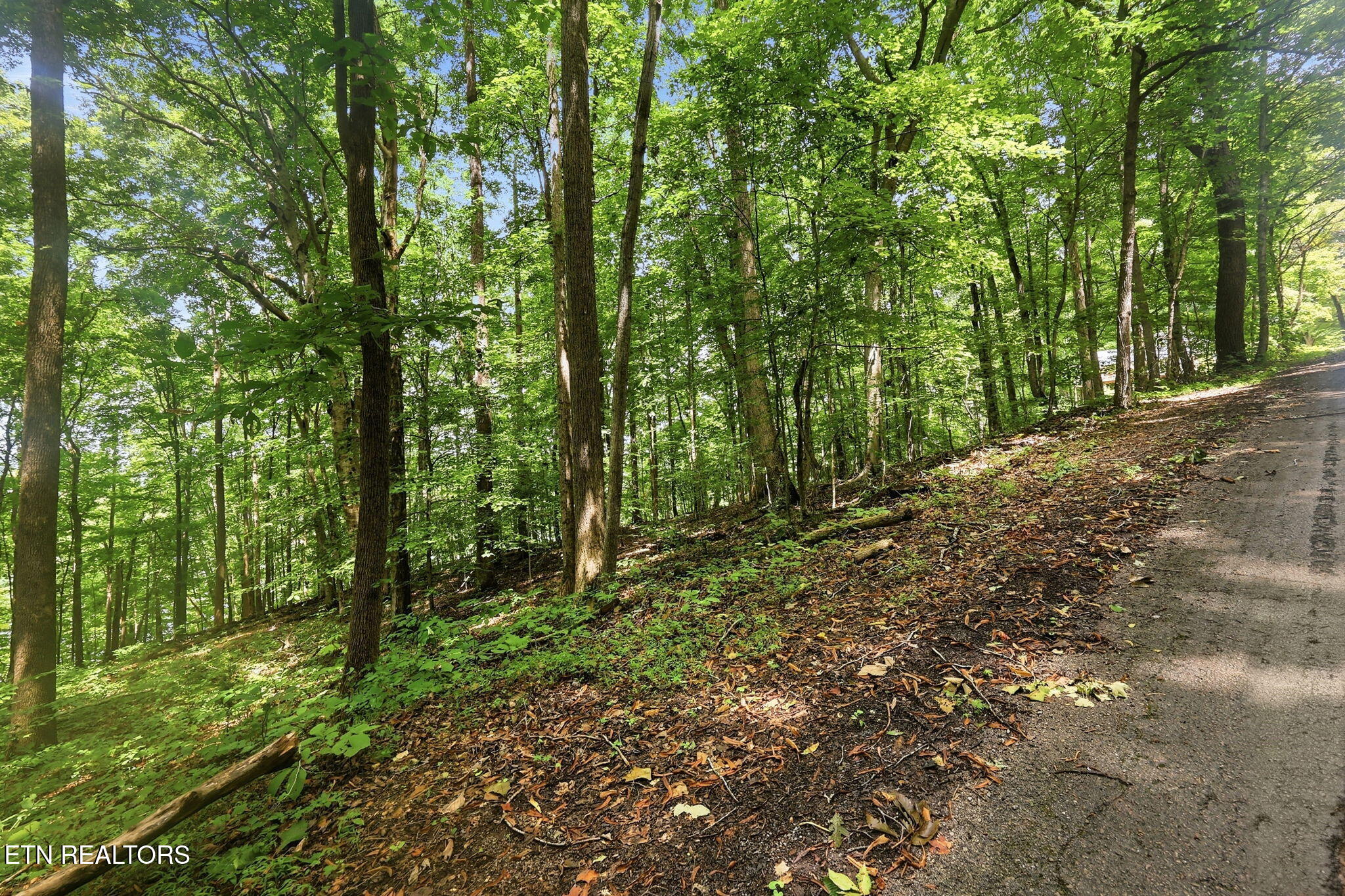 Lot 17 Tumbling Run Estates Maynardville TN 37807