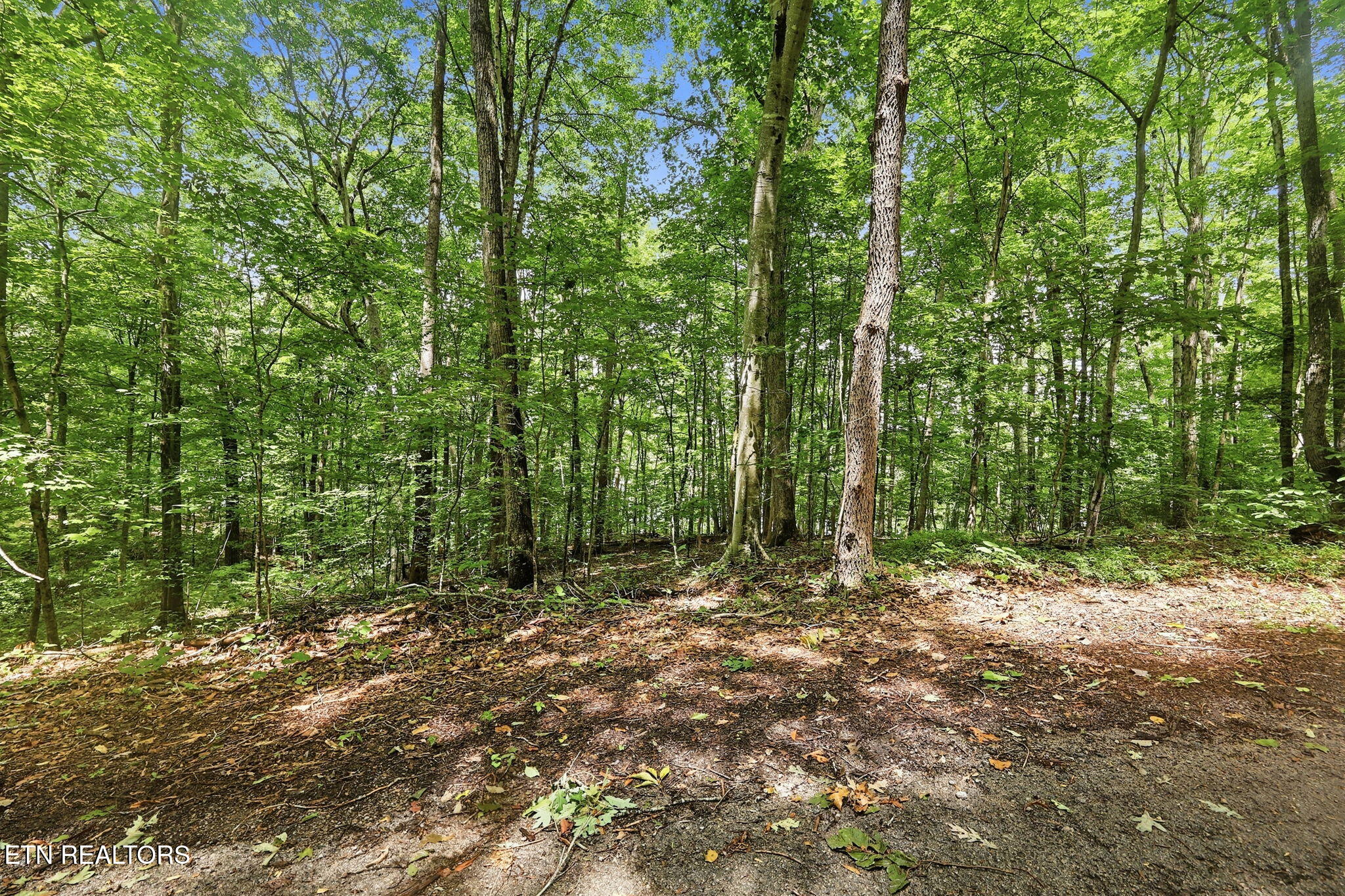 Lot 17 Tumbling Run Estates Maynardville TN 37807