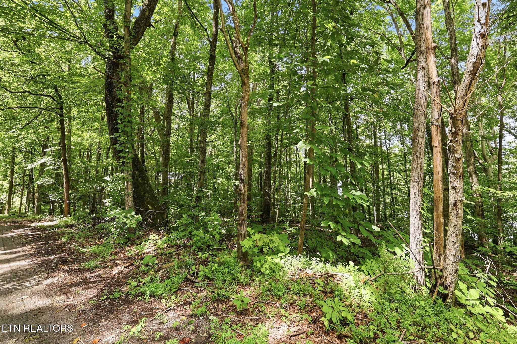 Lot 17 Tumbling Run Estates Maynardville TN 37807