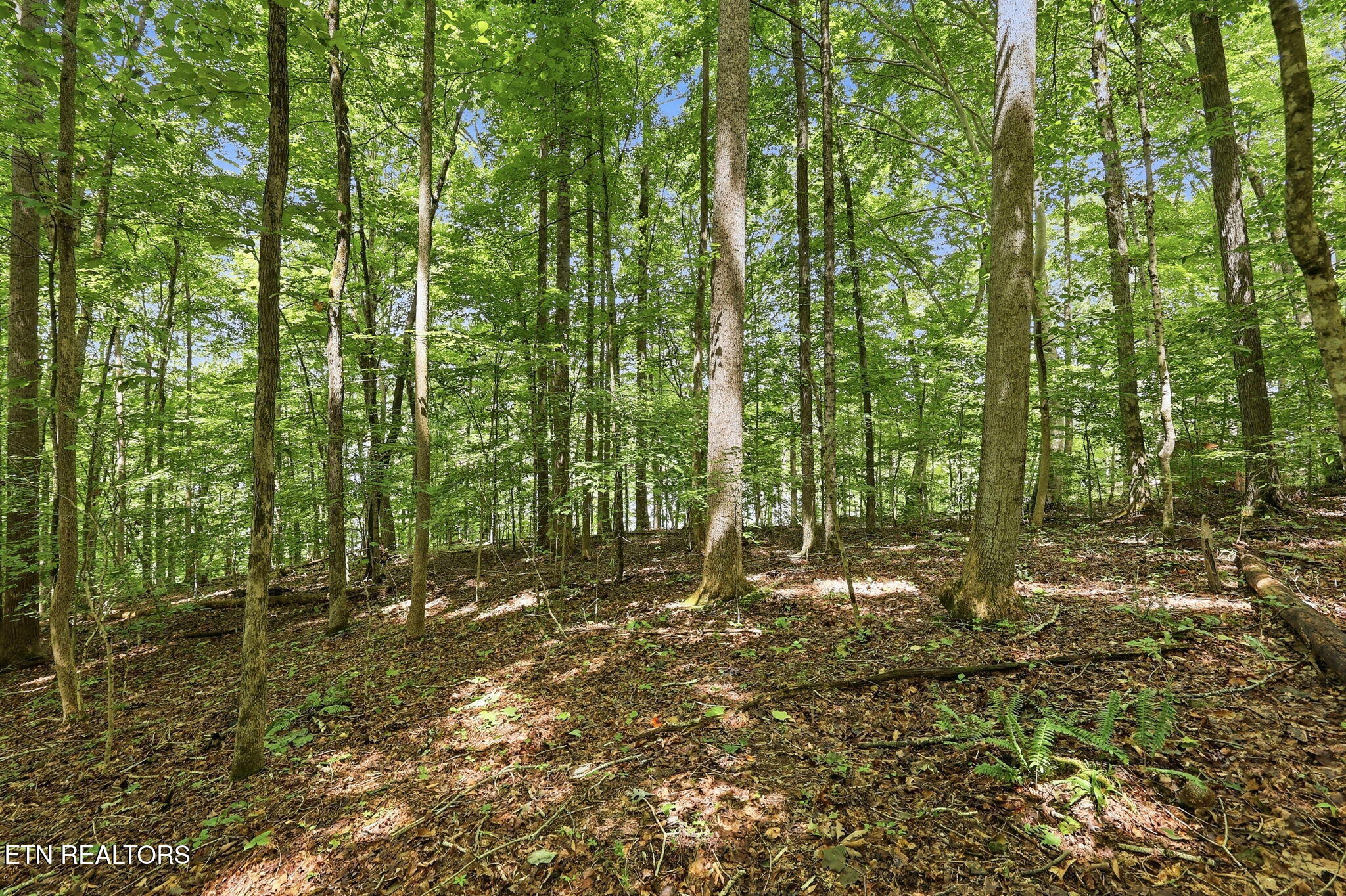 Lot 17 Tumbling Run Estates Maynardville TN 37807