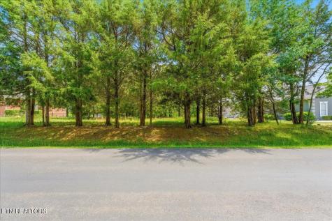 115 Eladi Trail Vonore TN 37885
