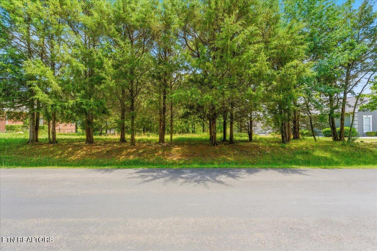 115 Eladi Trail Vonore TN 37885