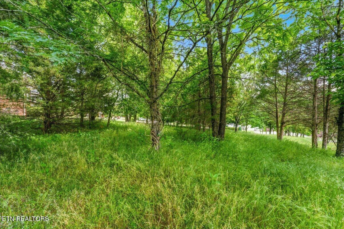 115 Eladi Trail Vonore TN 37885