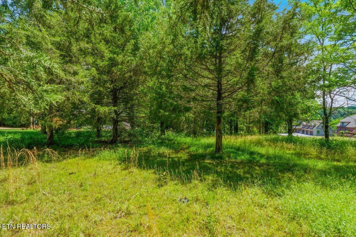 115 Eladi Trail Vonore TN 37885