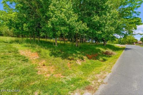 115 Eladi Trail Vonore TN 37885
