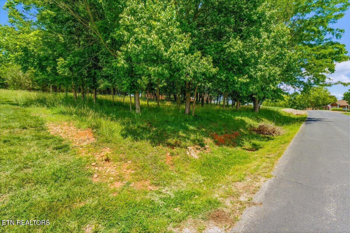 115 Eladi Trail Vonore TN 37885