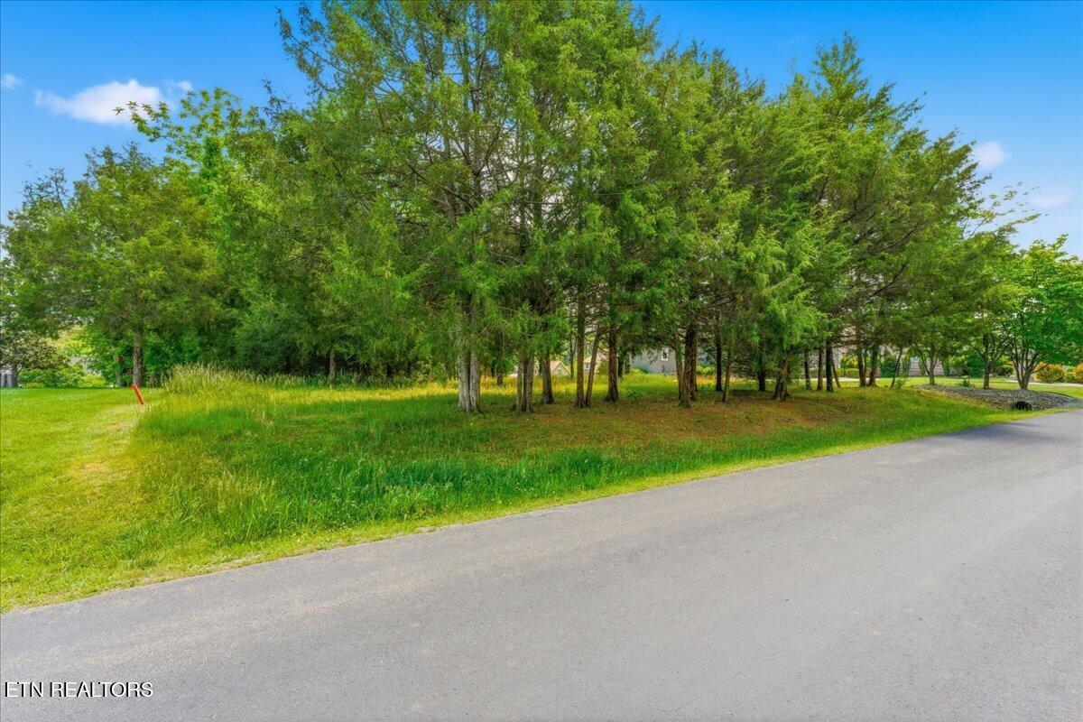 115 Eladi Trail Vonore TN 37885