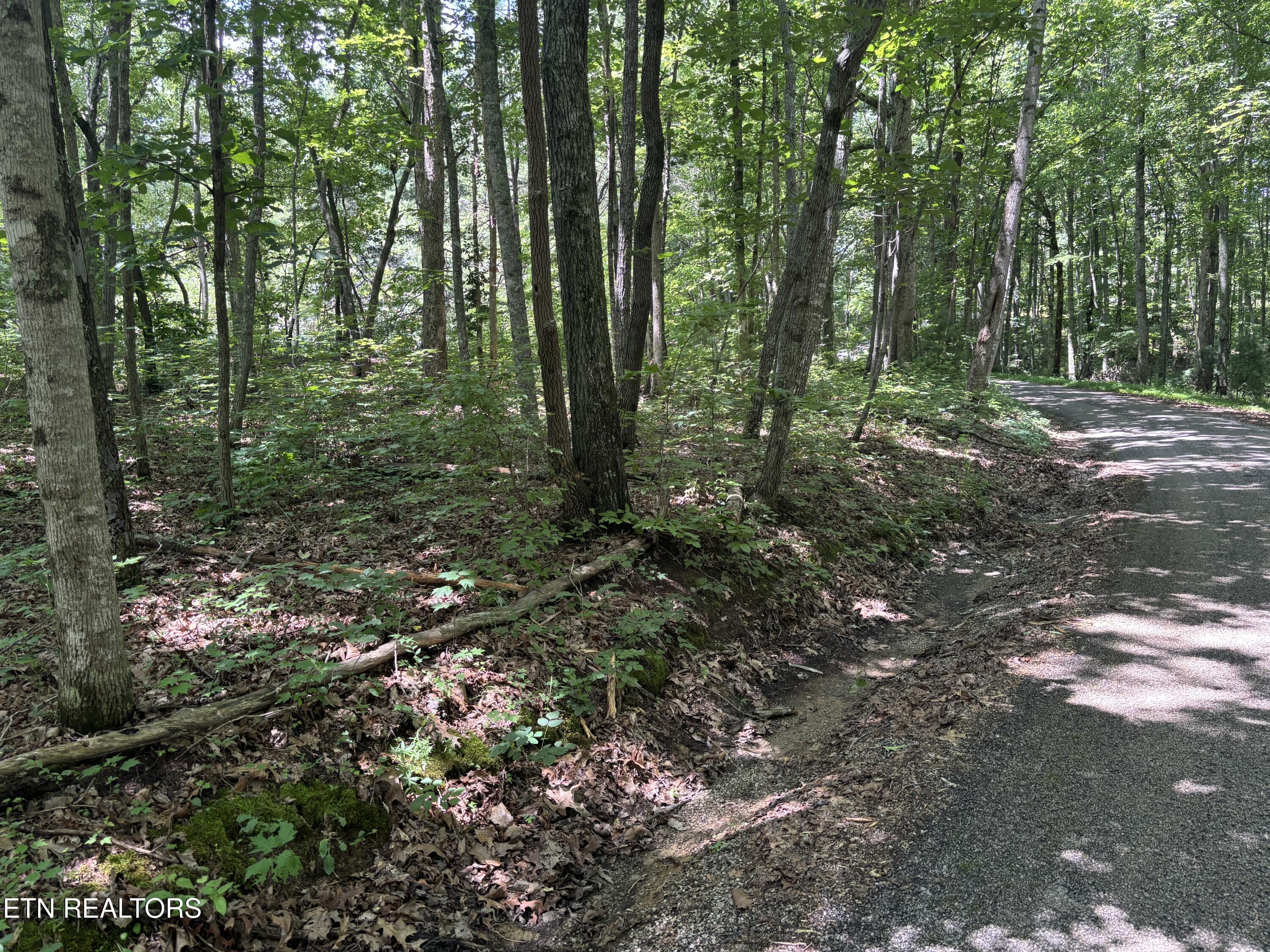 Peacock Road Deer Lodge TN 37726