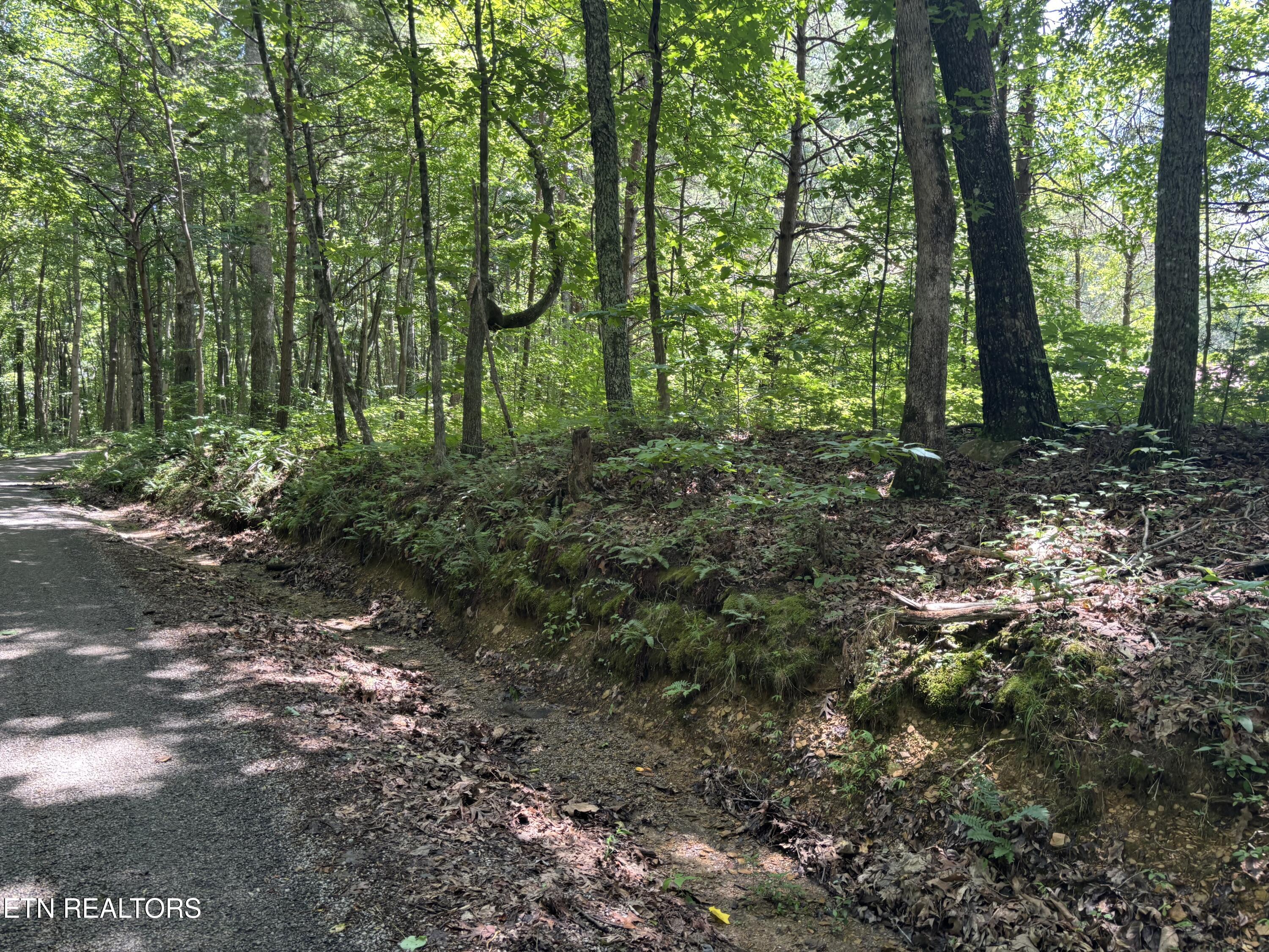 Peacock Road Deer Lodge TN 37726