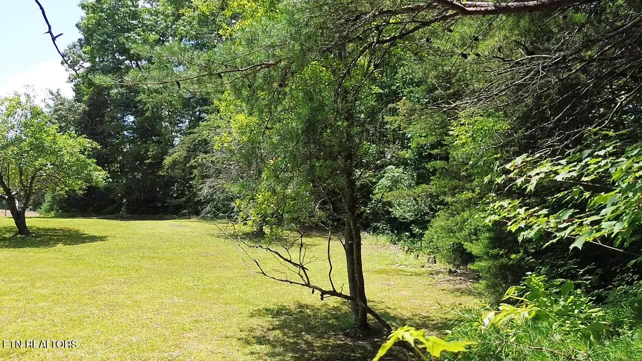 Peacock Road Deer Lodge TN 37726