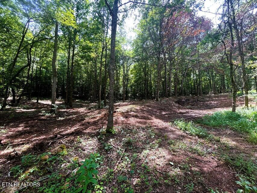 Tract 8 Pleasant Hill Road Ten Mile TN 37880