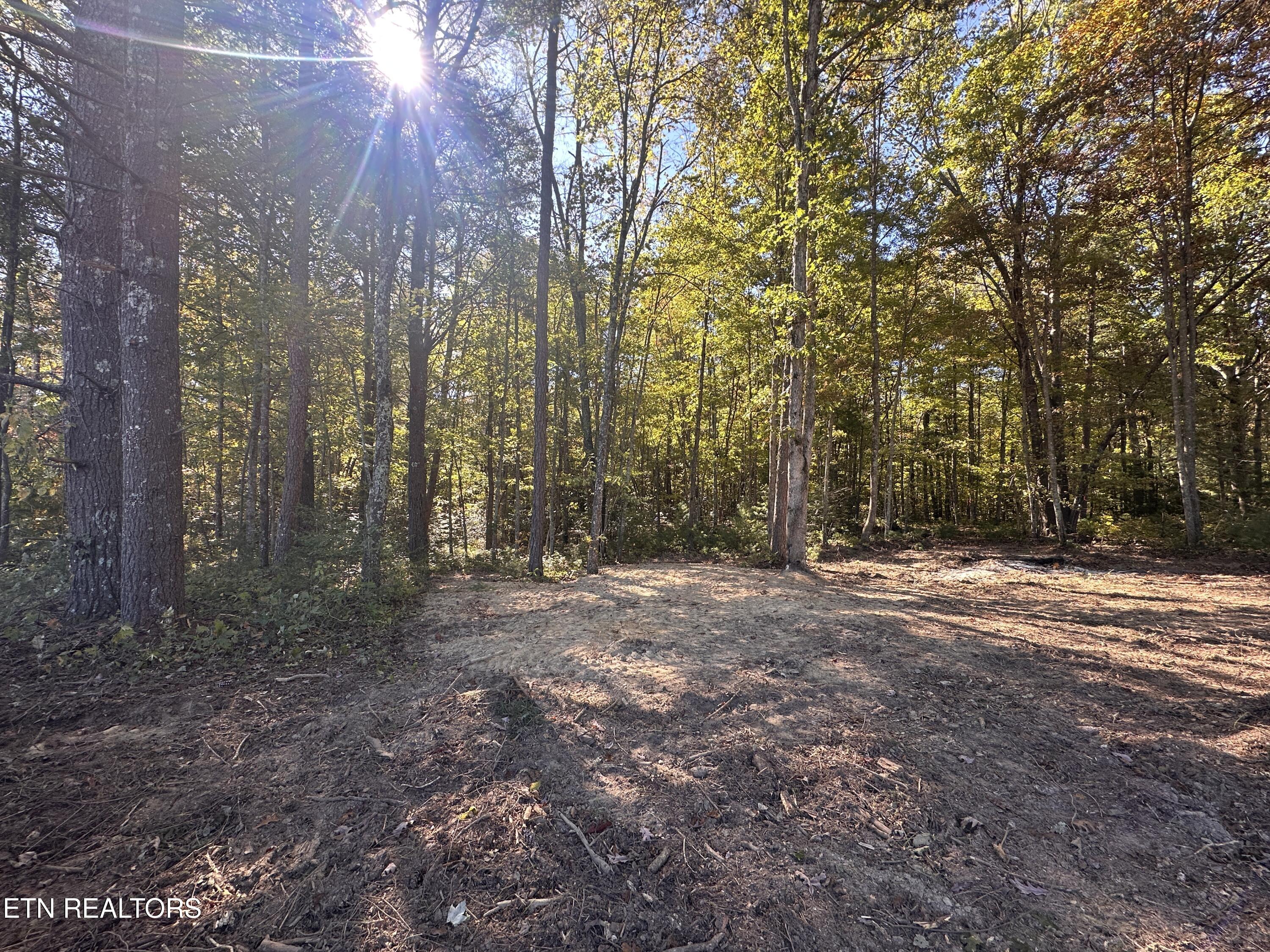 18.6 Ac Cave Branch Road Allardt TN 38504