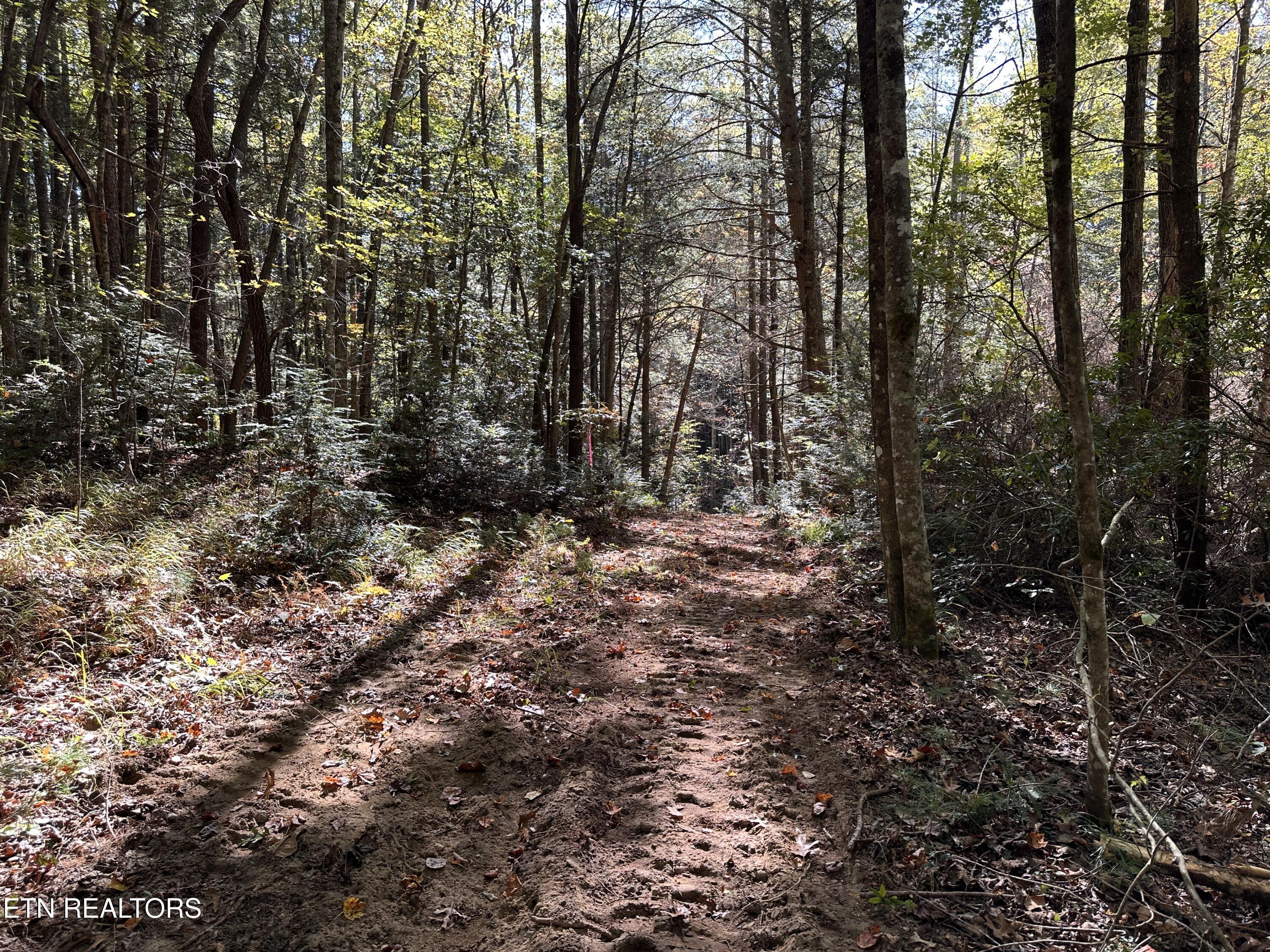 18.6 Ac Cave Branch Road Allardt TN 38504