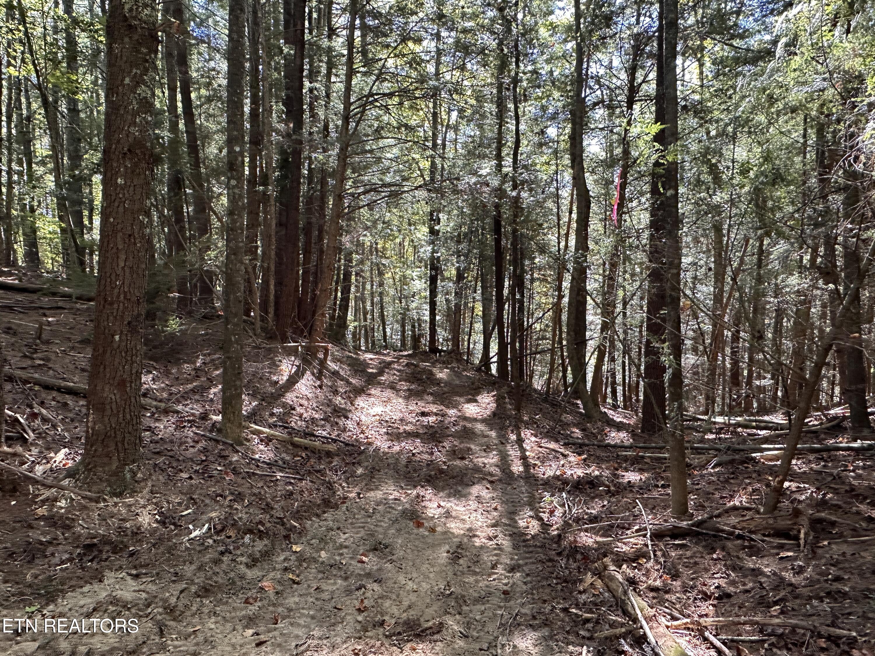 18.6 Ac Cave Branch Road Allardt TN 38504