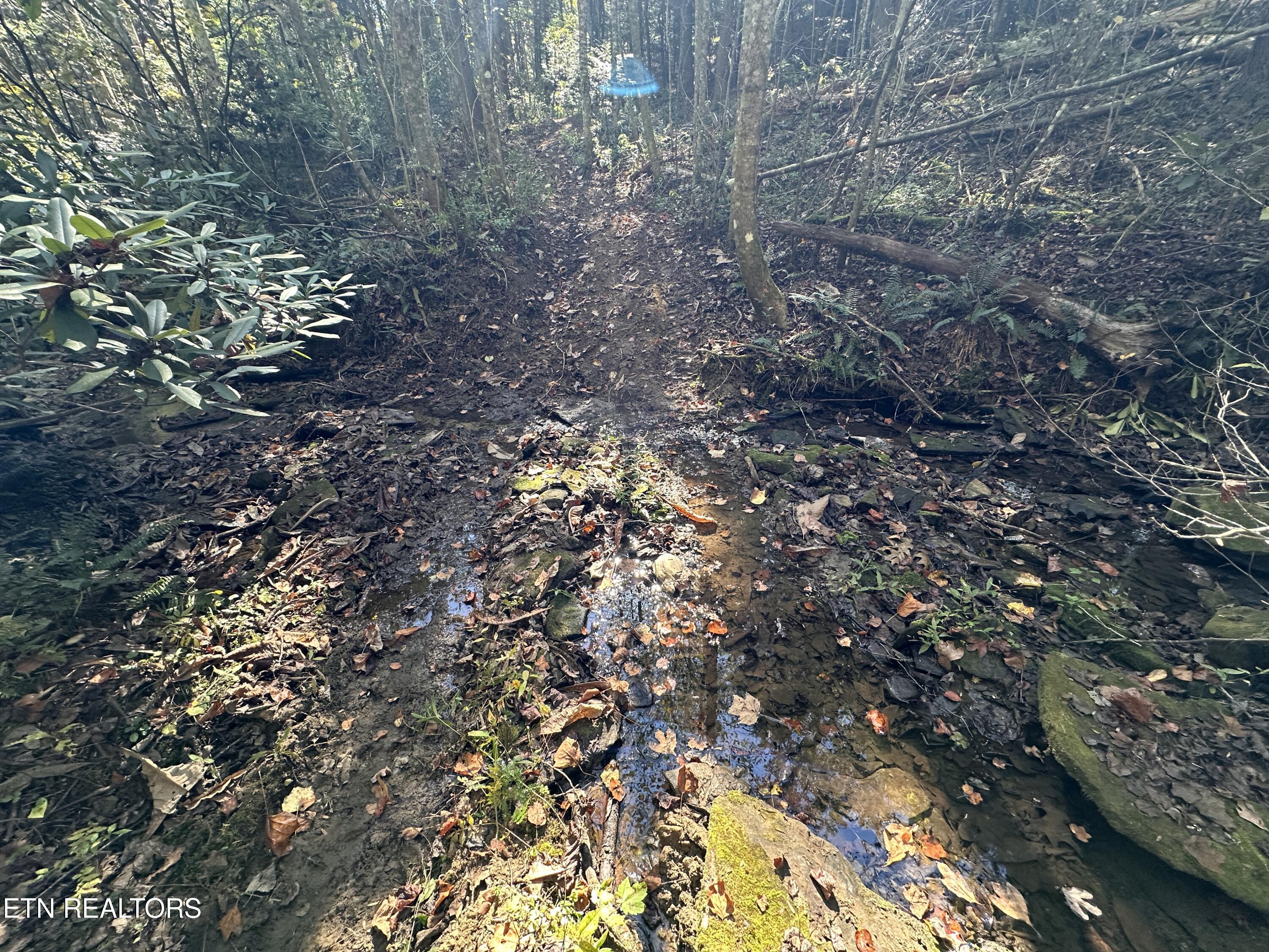18.6 Ac Cave Branch Road Allardt TN 38504