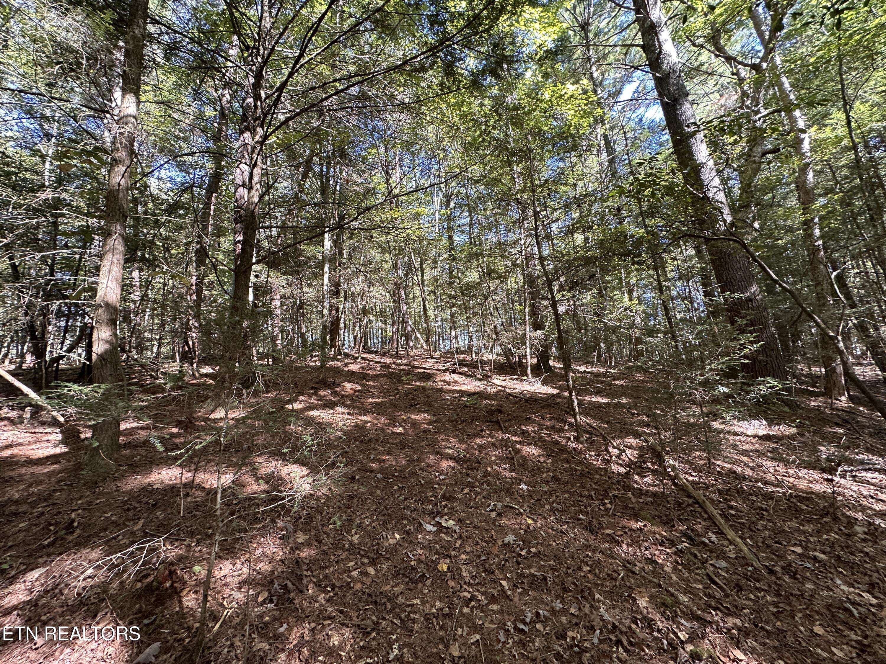 18.6 Ac Cave Branch Road Allardt TN 38504