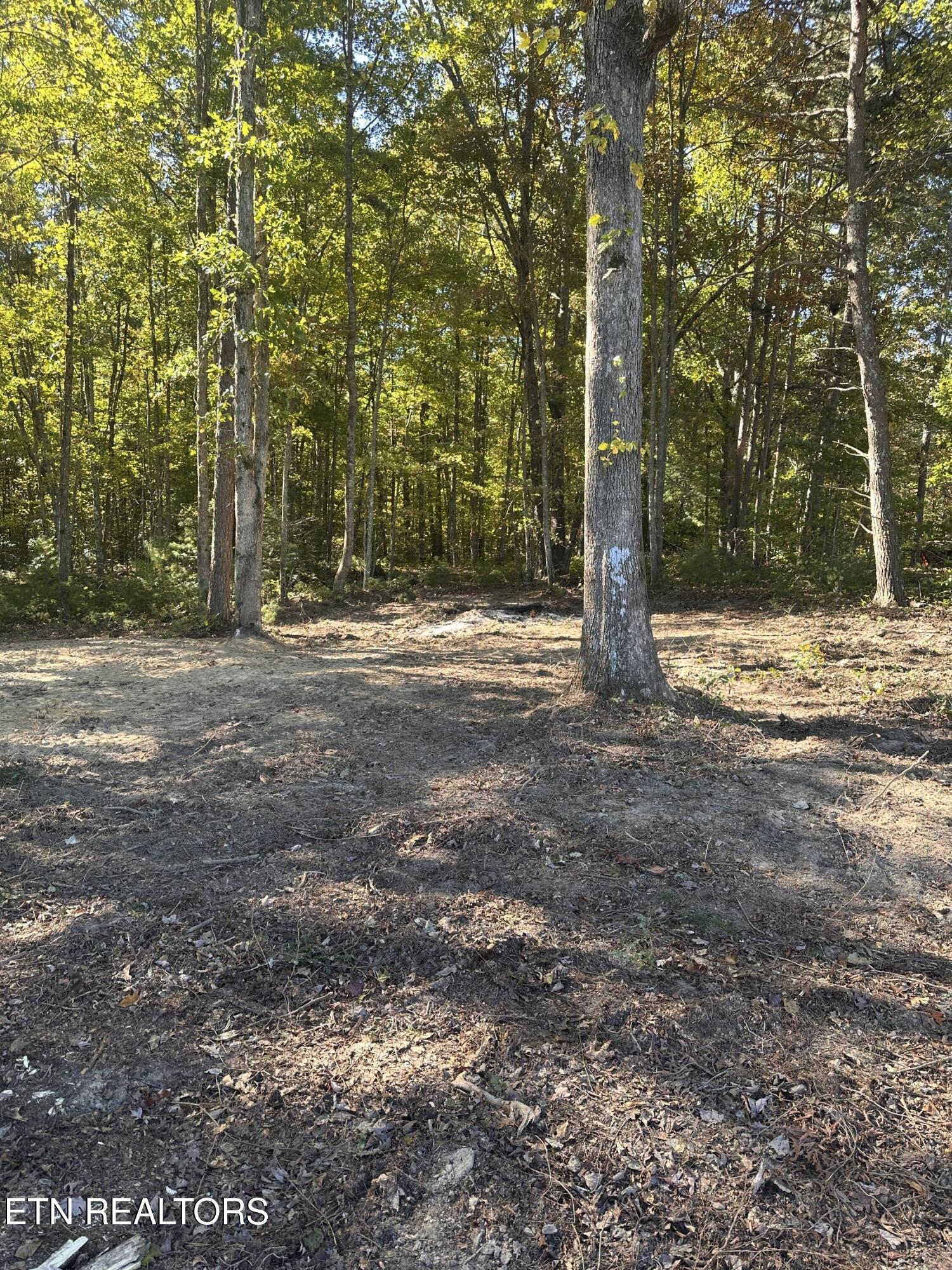 18.6 Ac Cave Branch Road Allardt TN 38504