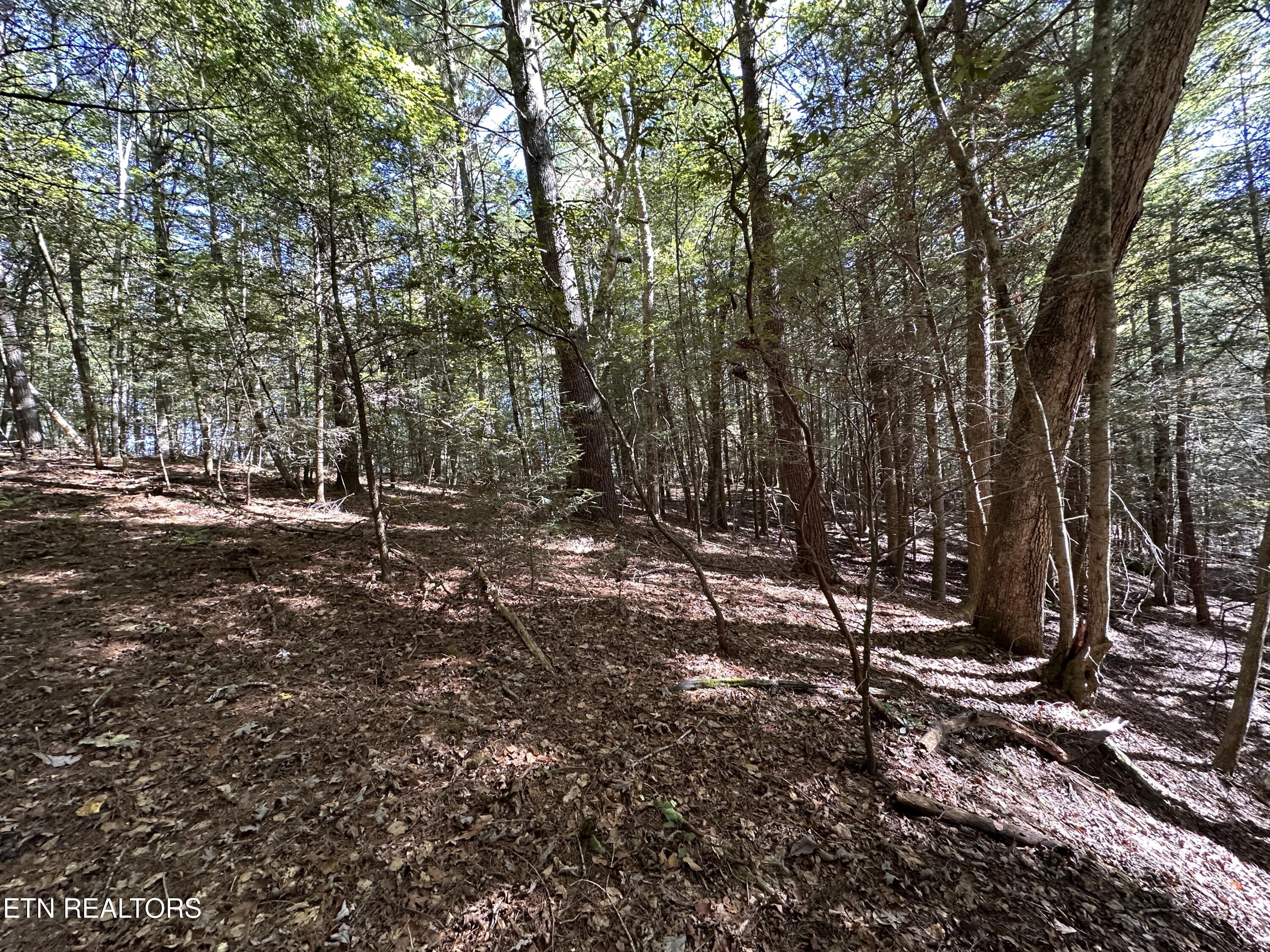 18.6 Ac Cave Branch Road Allardt TN 38504