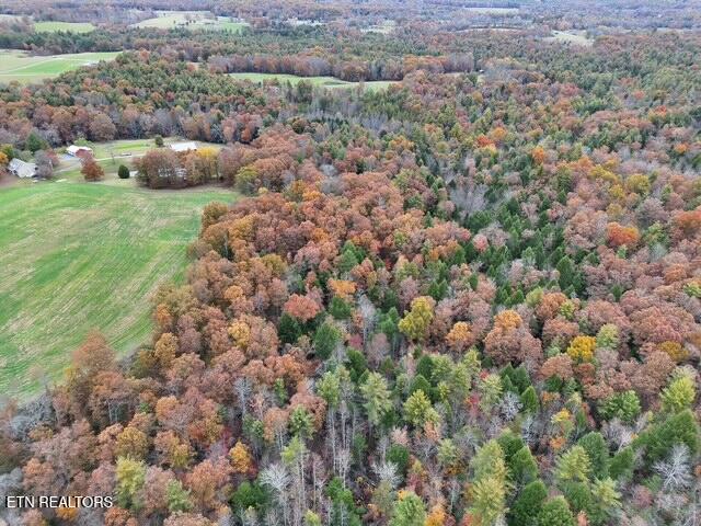 18.6 Ac Cave Branch Road Allardt TN 38504