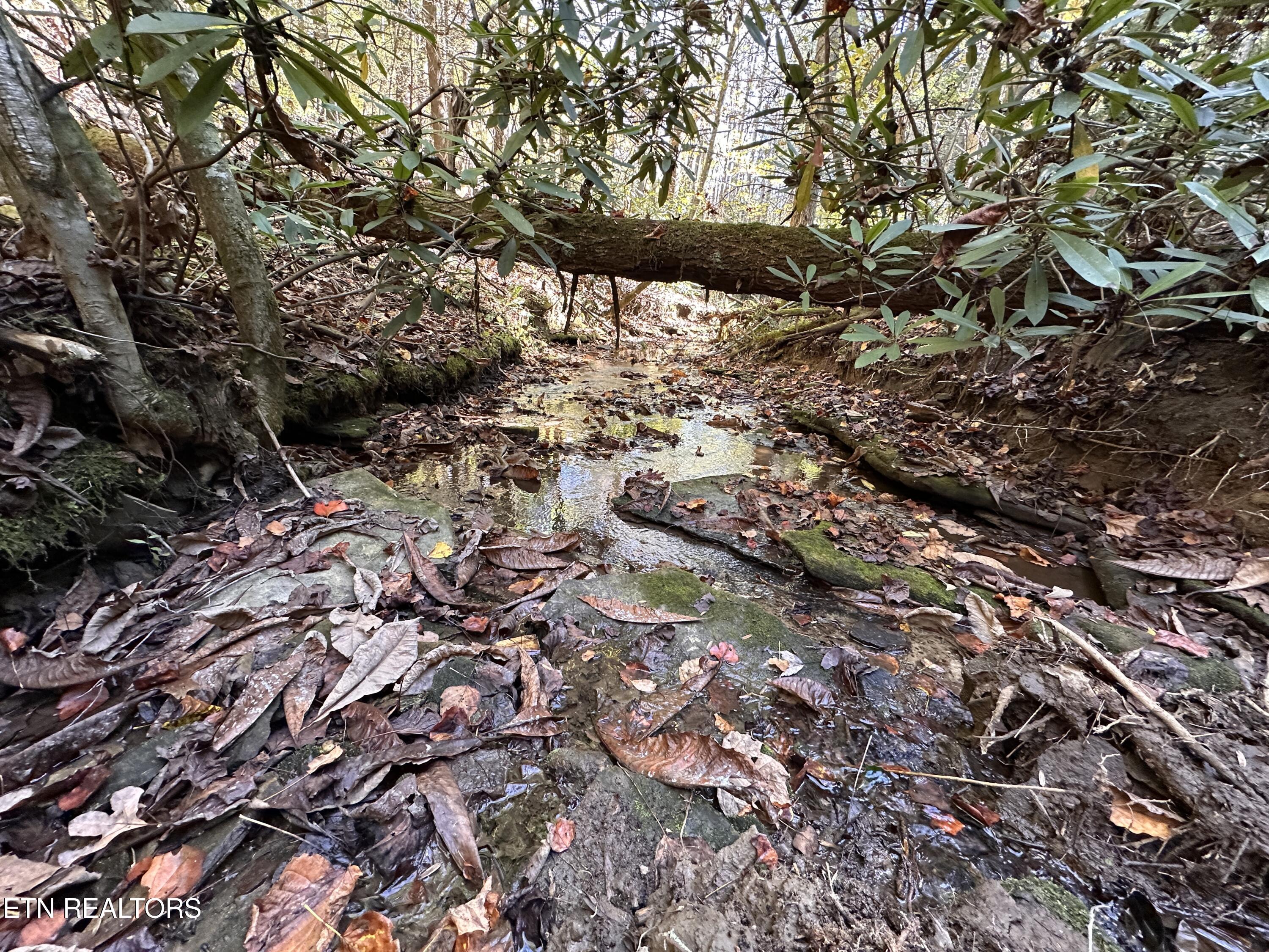 18.6 Ac Cave Branch Road Allardt TN 38504