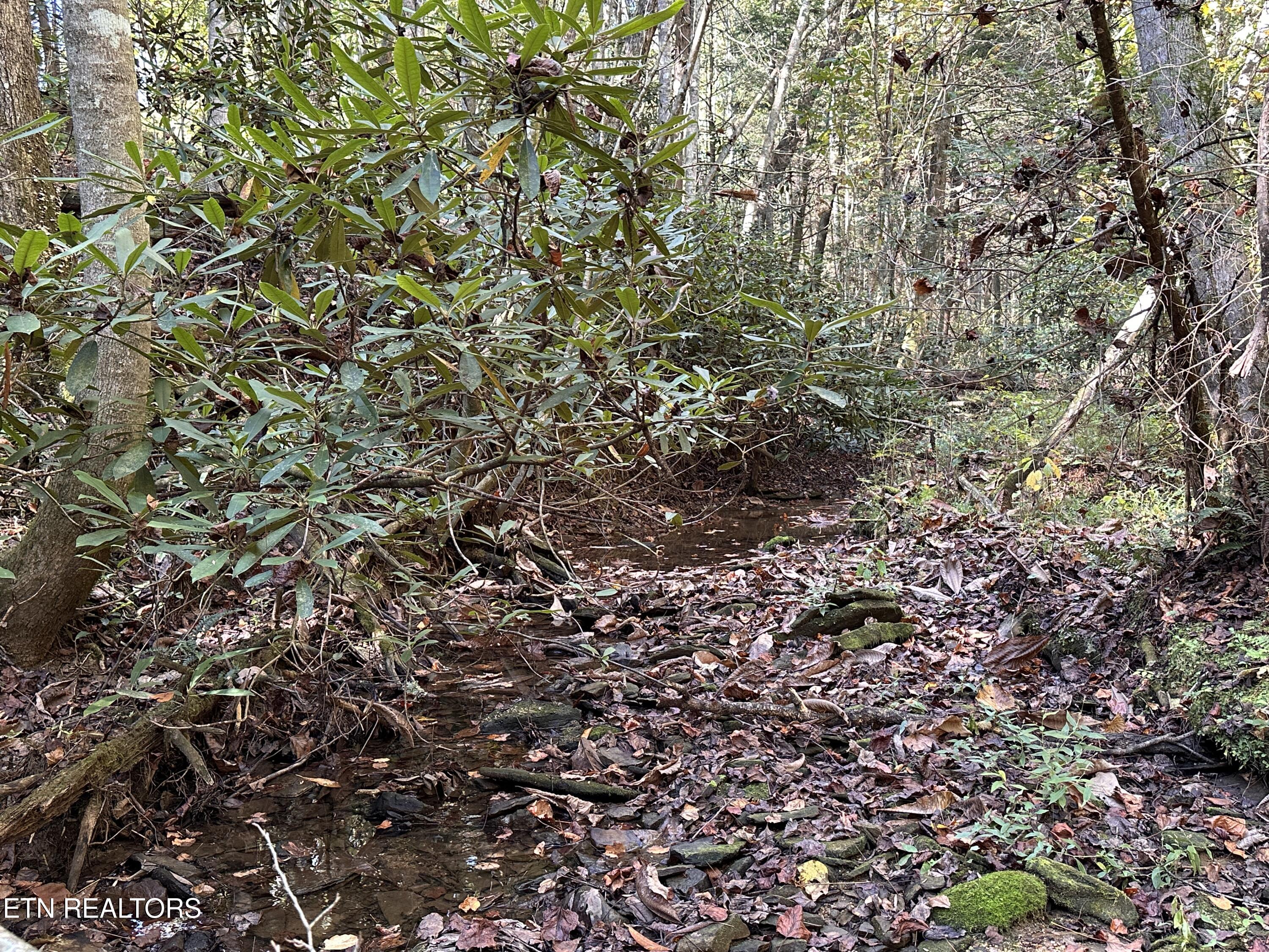 18.6 Ac Cave Branch Road Allardt TN 38504