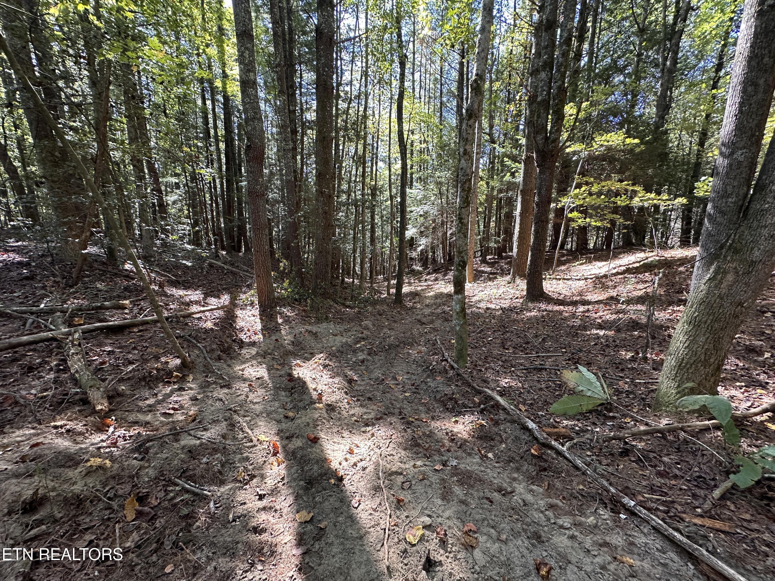 18.6 Ac Cave Branch Road Allardt TN 38504