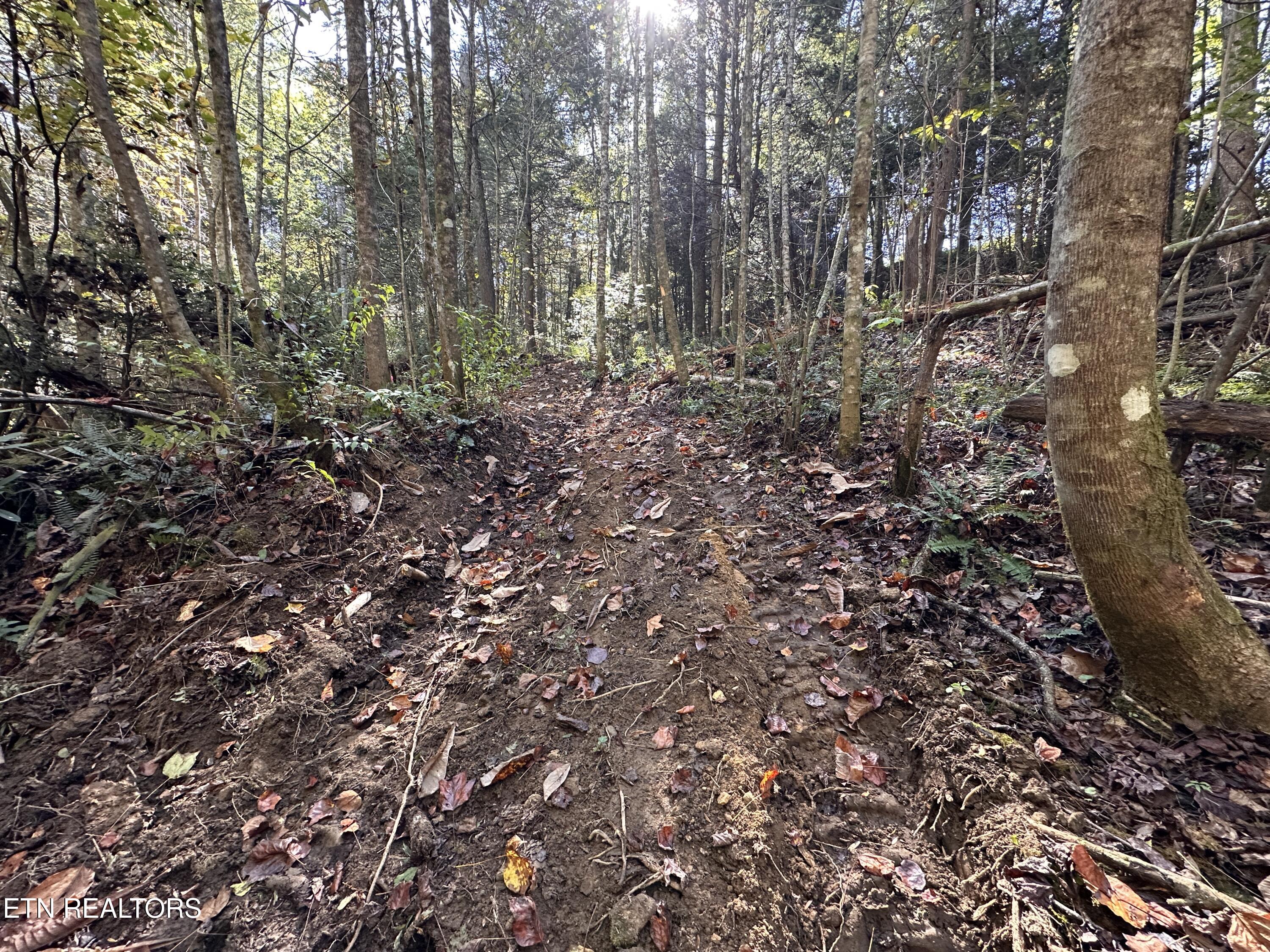 18.6 Ac Cave Branch Road Allardt TN 38504