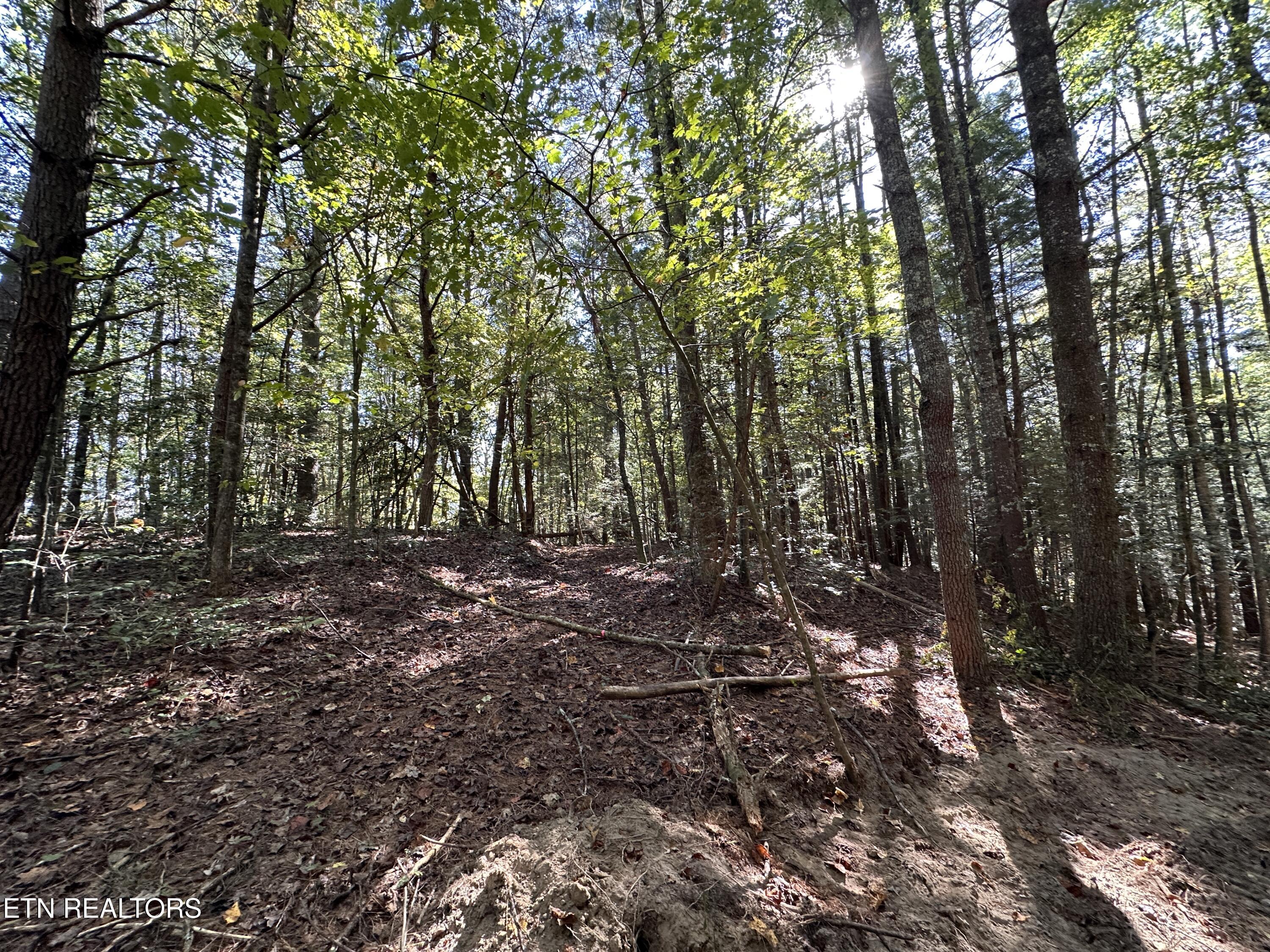 18.6 Ac Cave Branch Road Allardt TN 38504