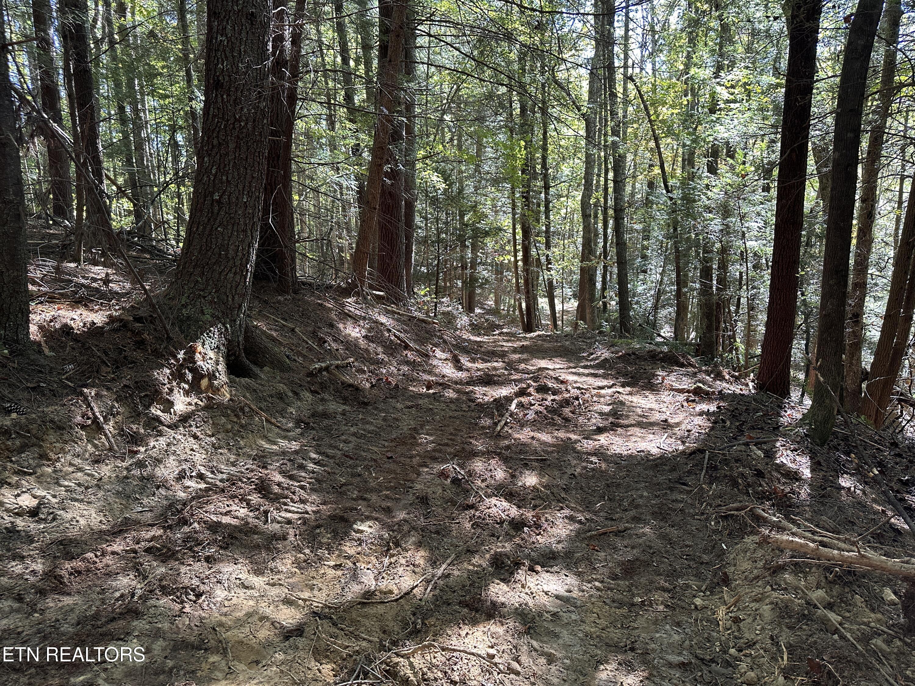 18.6 Ac Cave Branch Road Allardt TN 38504
