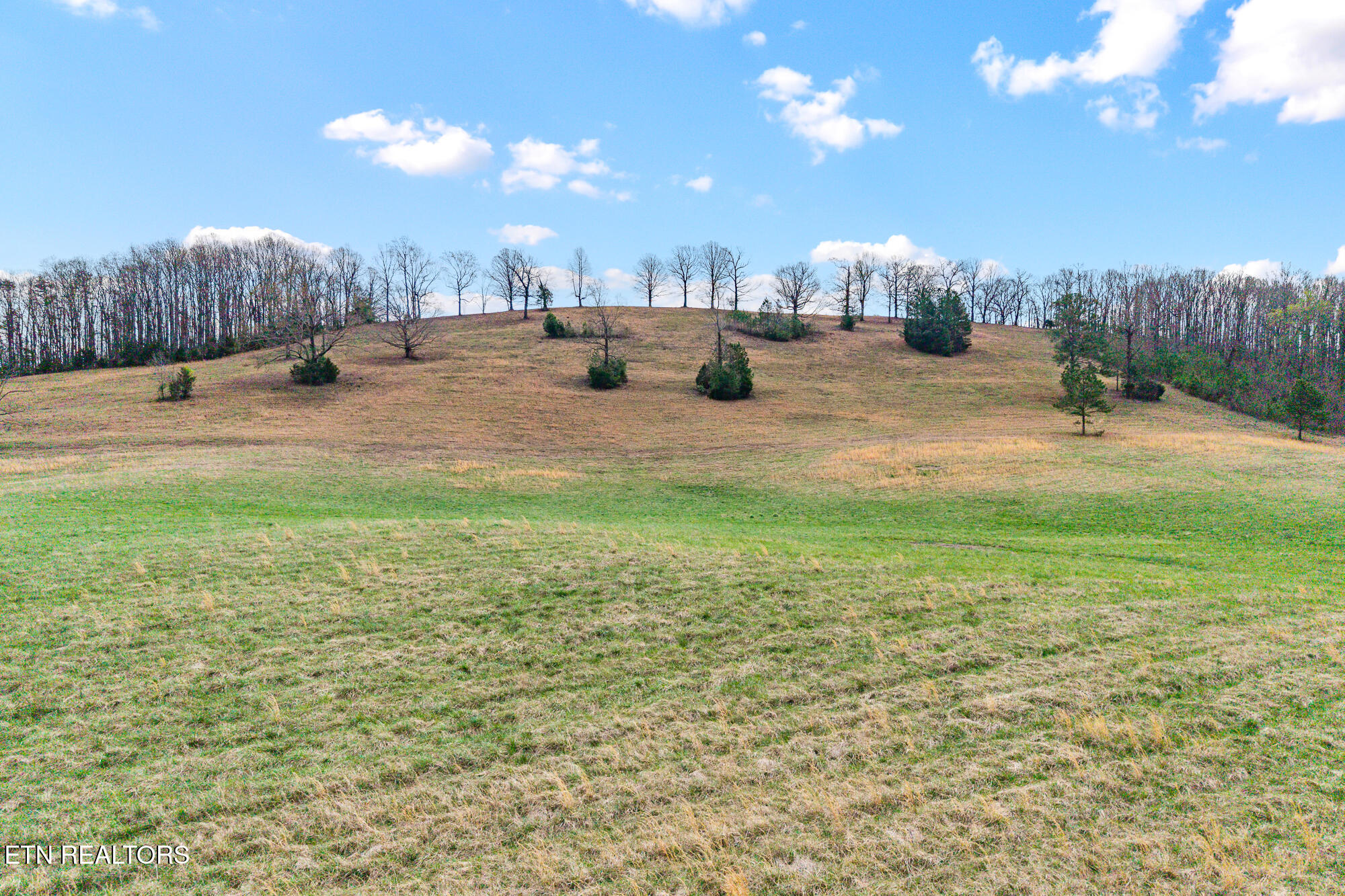 Lot 10 N Nopone Valley Road Decatur TN 37322