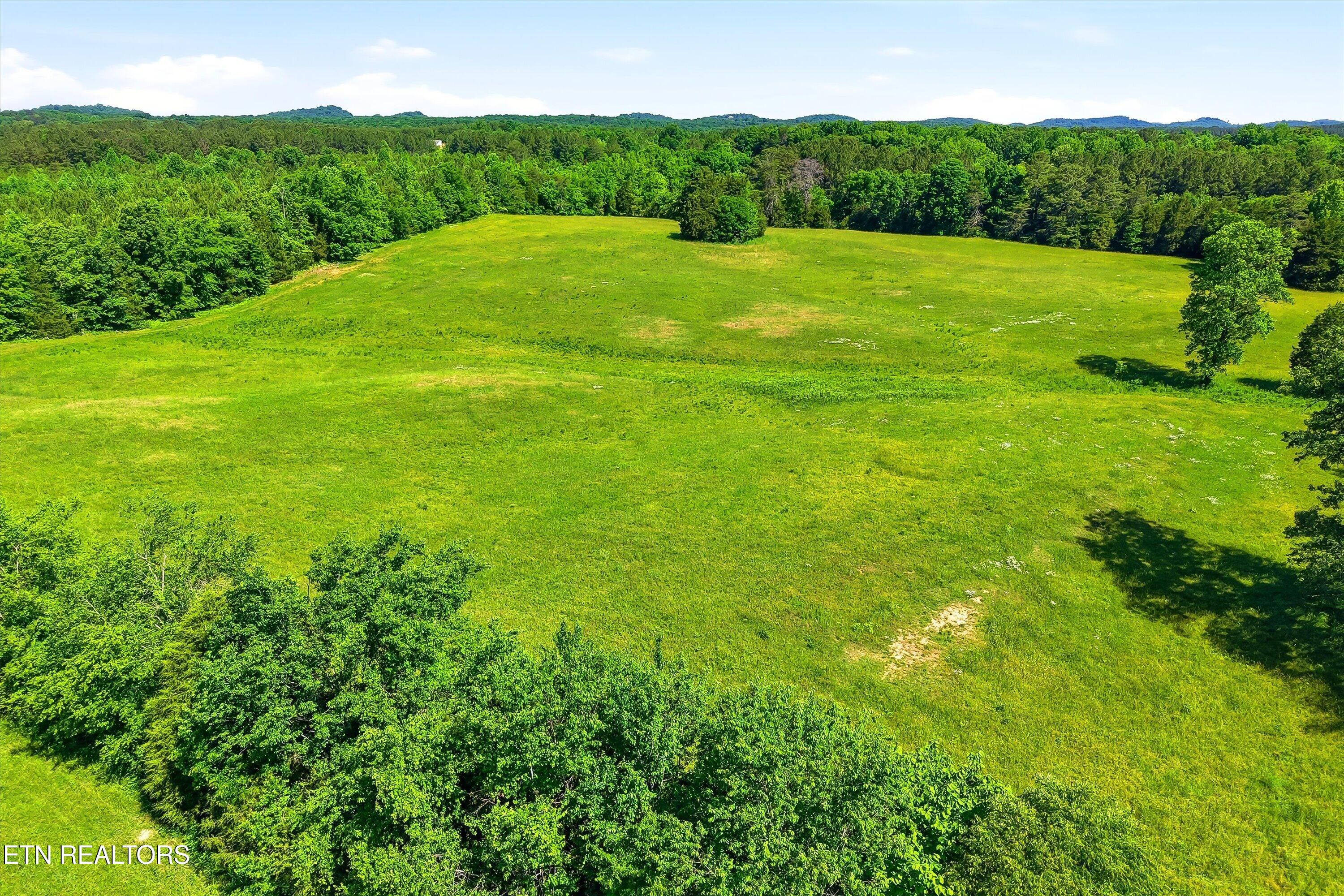 6 Highway 163 Riceville TN 37370