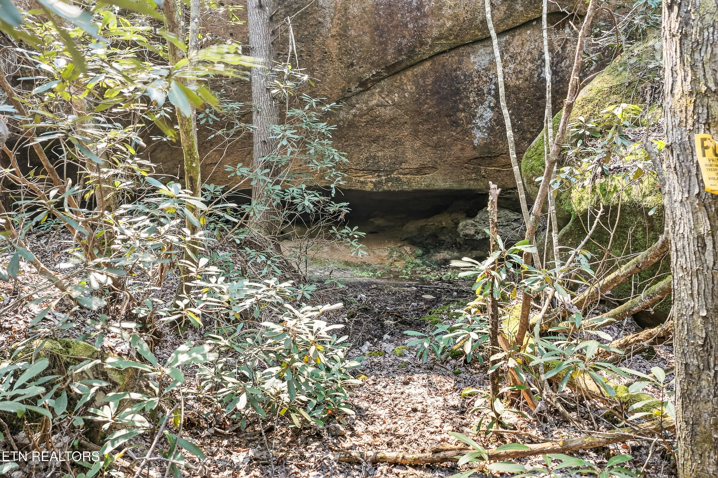 Ridge Top Drive Jamestown TN 38556