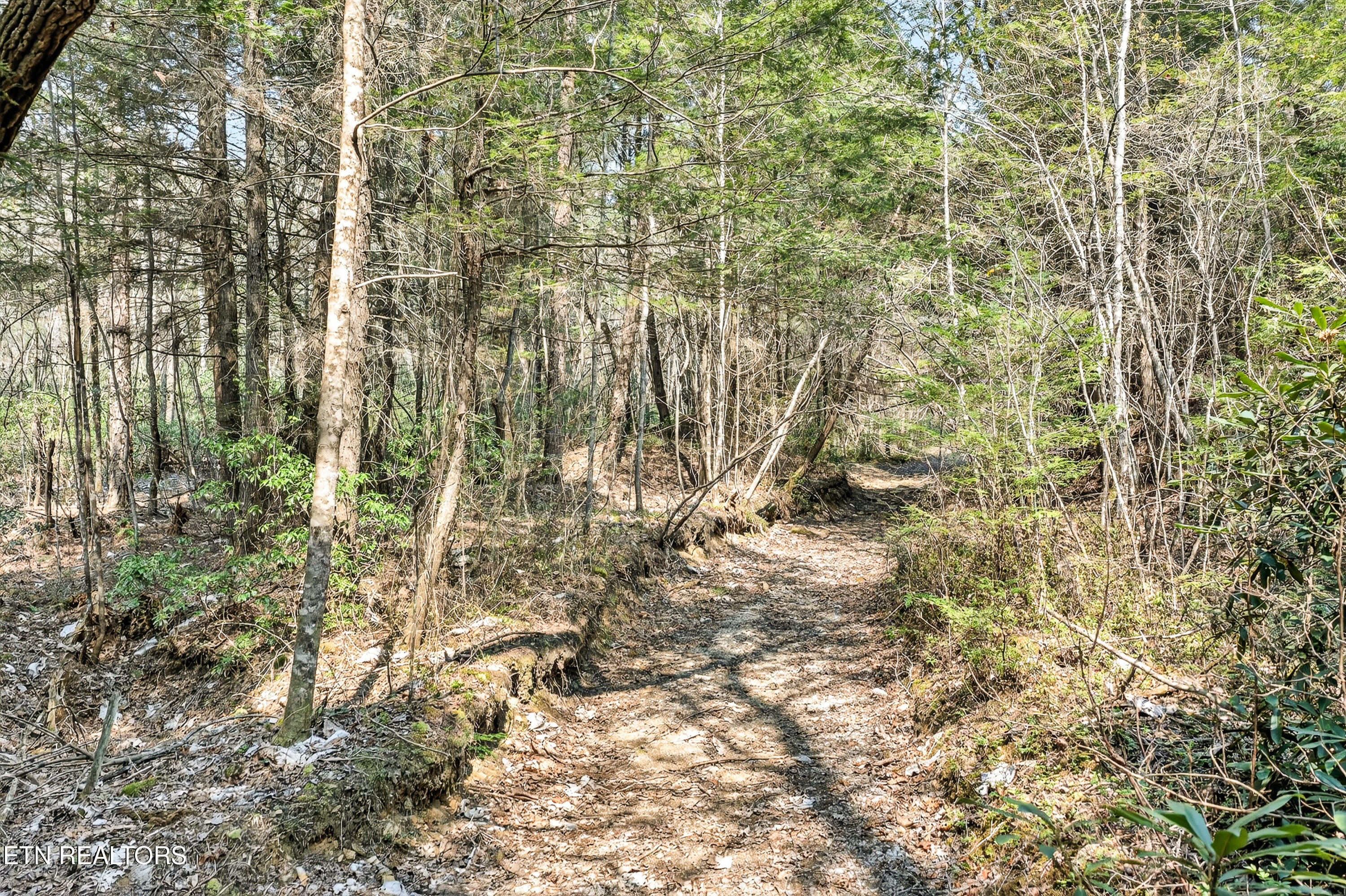 Ridge Top Drive Jamestown TN 38556