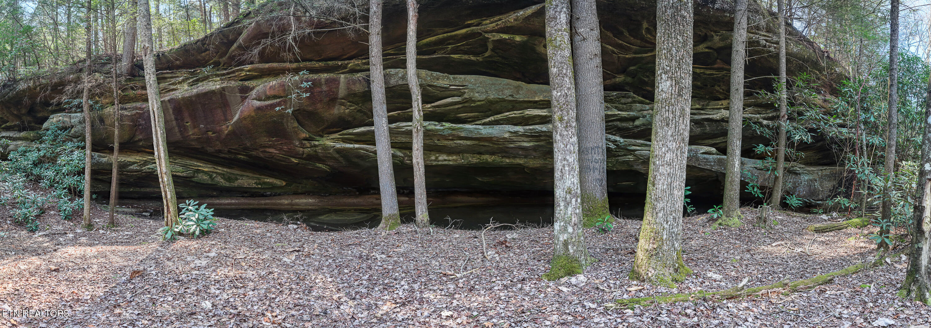 Ridge Top Drive Jamestown TN 38556