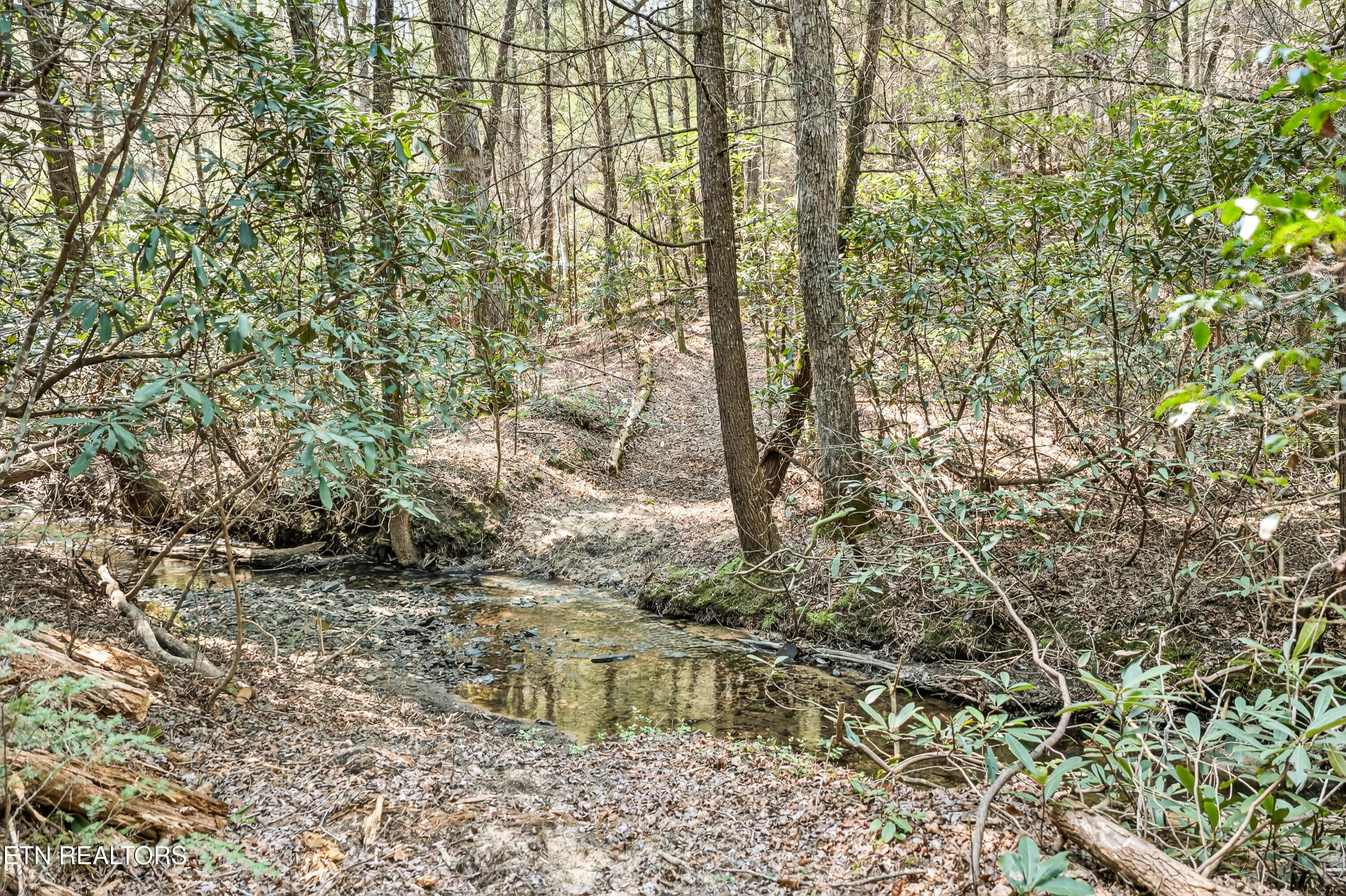 Ridge Top Drive Jamestown TN 38556