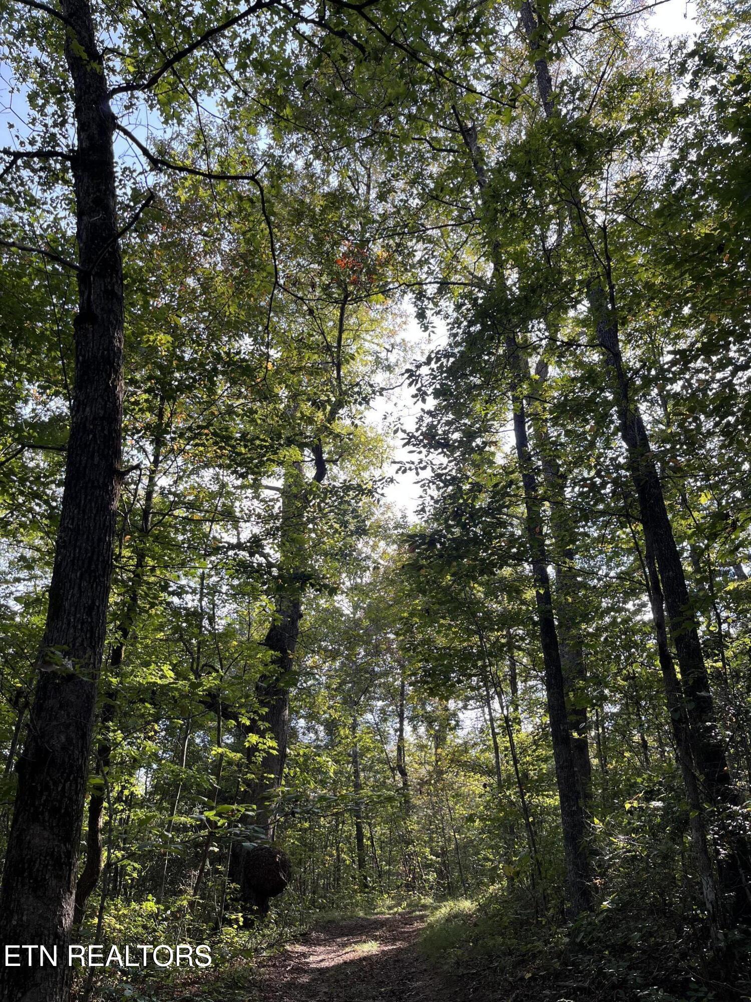 Ridge Top Drive Jamestown TN 38556