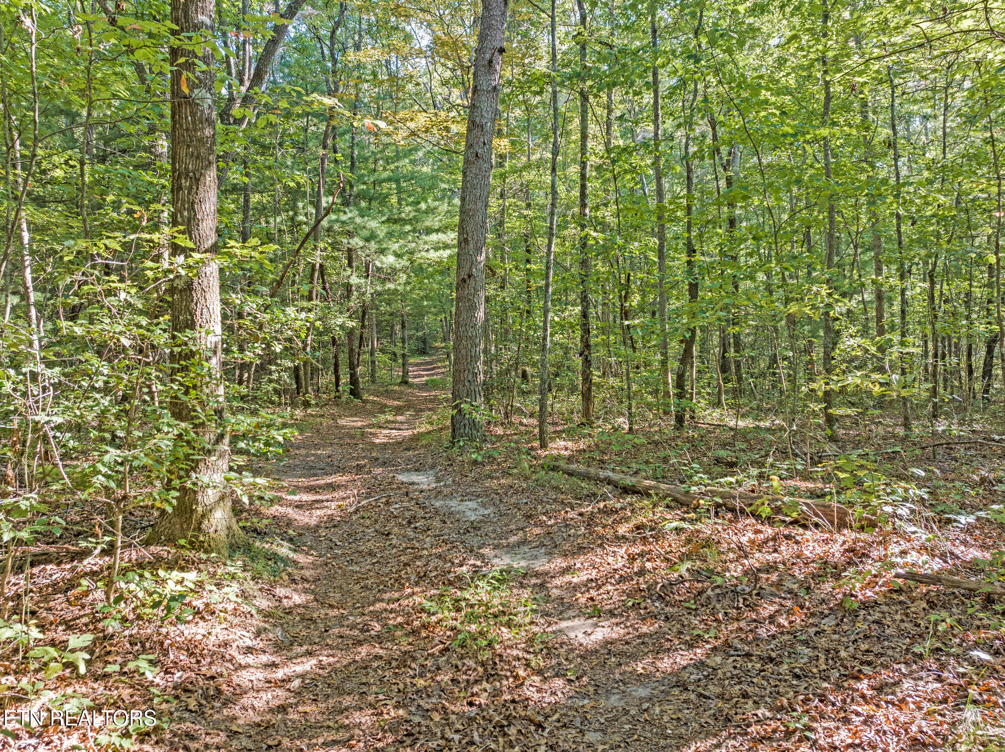 Ridge Top Drive Jamestown TN 38556