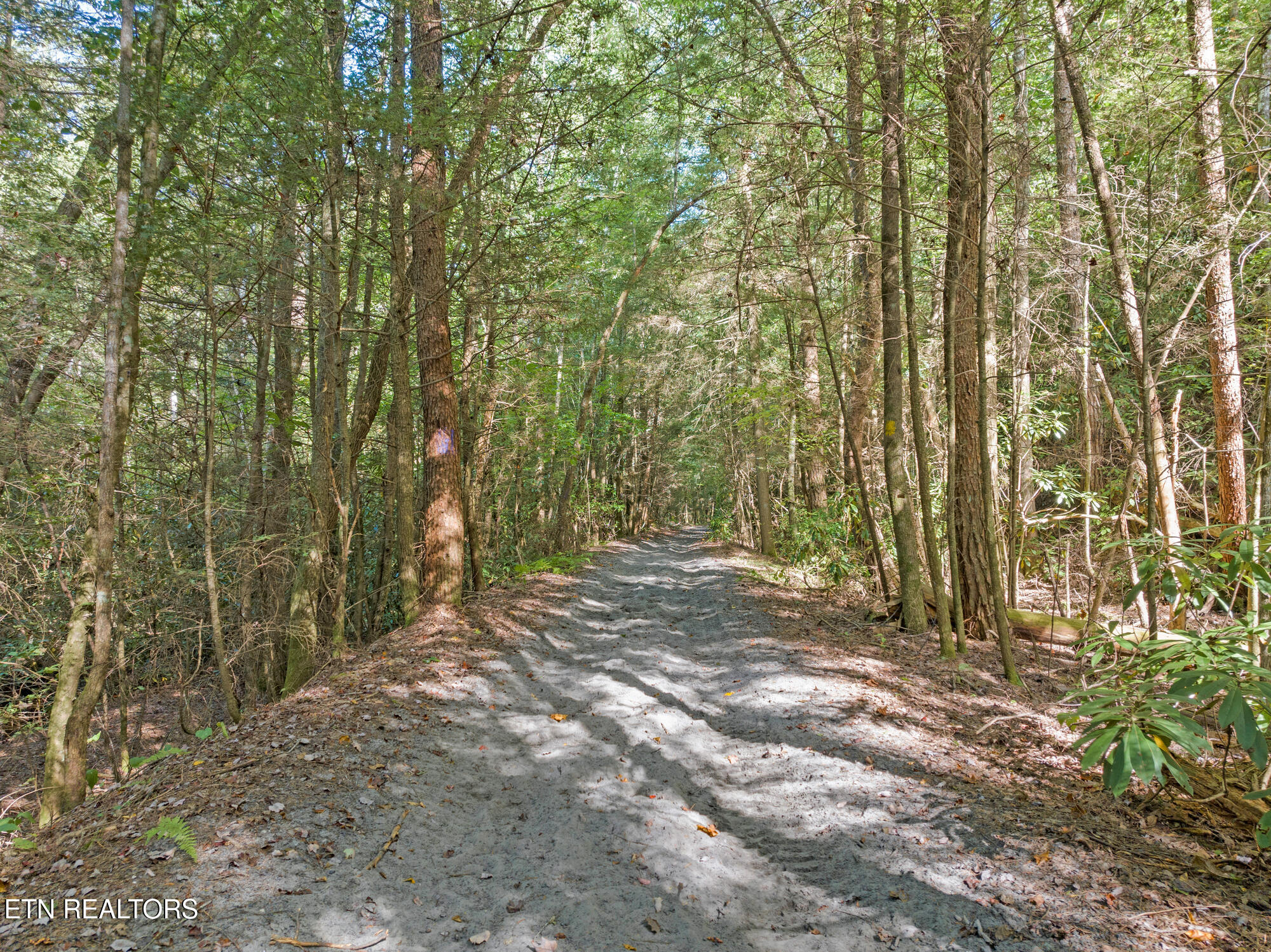 Ridge Top Drive Jamestown TN 38556