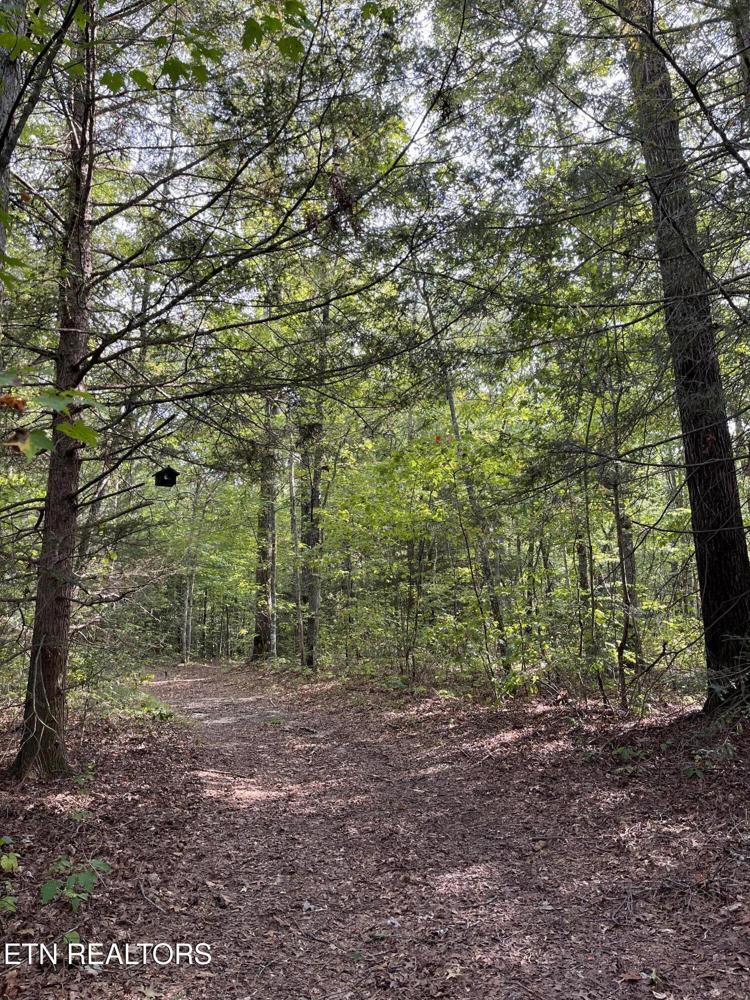 Ridge Top Drive Jamestown TN 38556