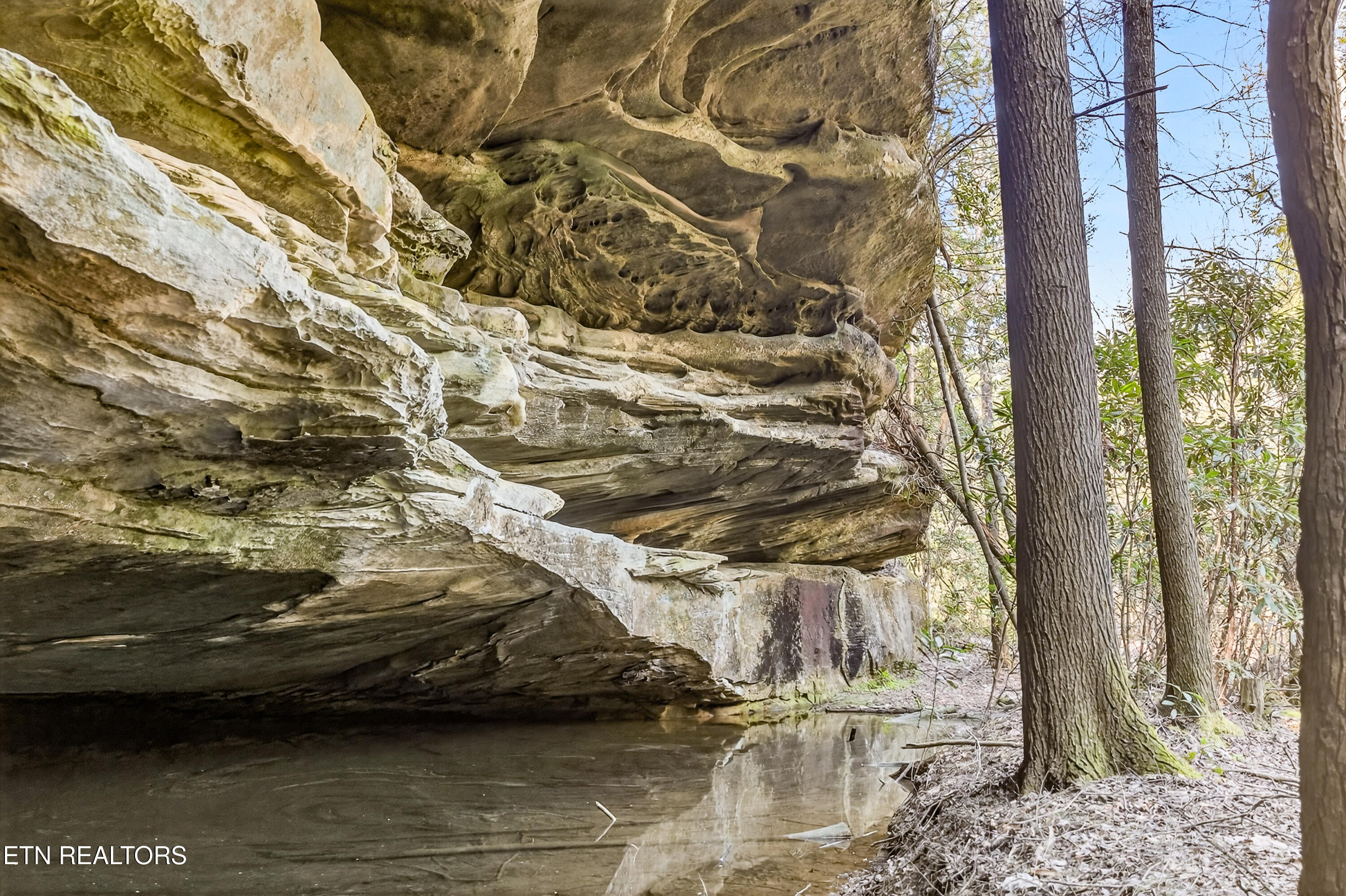 Ridge Top Drive Jamestown TN 38556