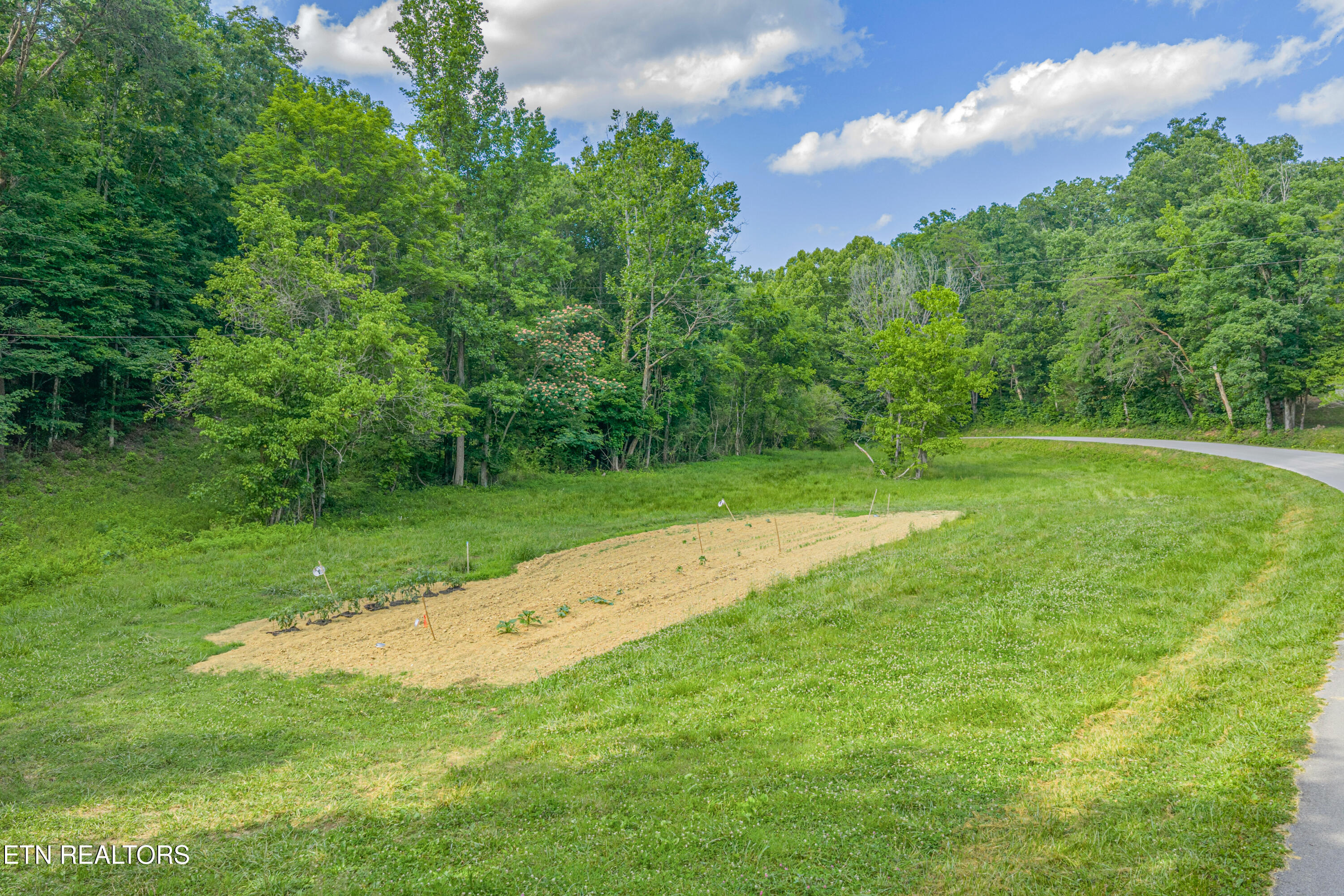 Dark Hollow Road Andersonville TN 37705