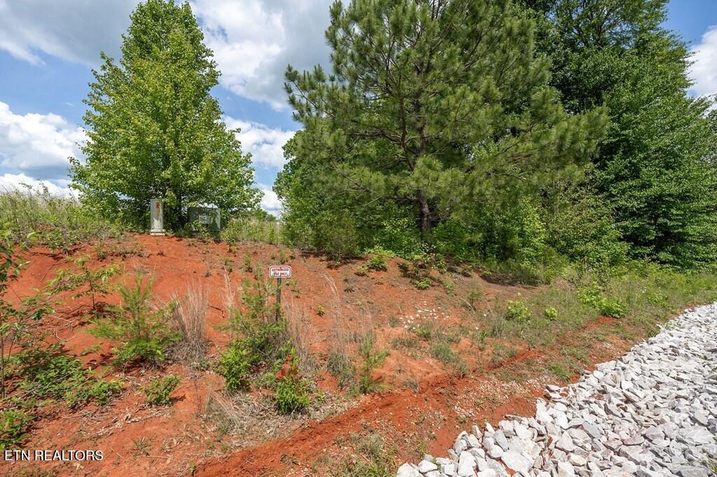 0 Deer View Drive Sparta TN 38583