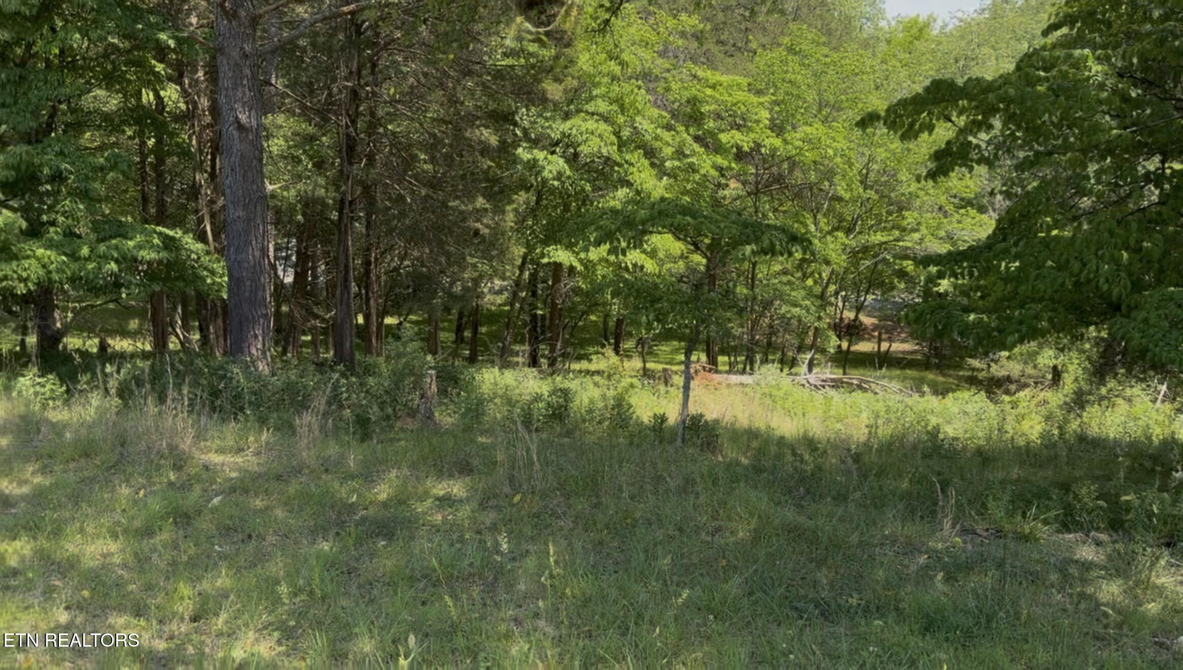 Lot 16 Morris Lane Kingston TN 37763