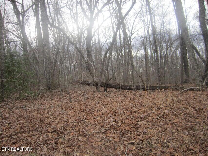 114 Folkstone Road Crossville TN 38558