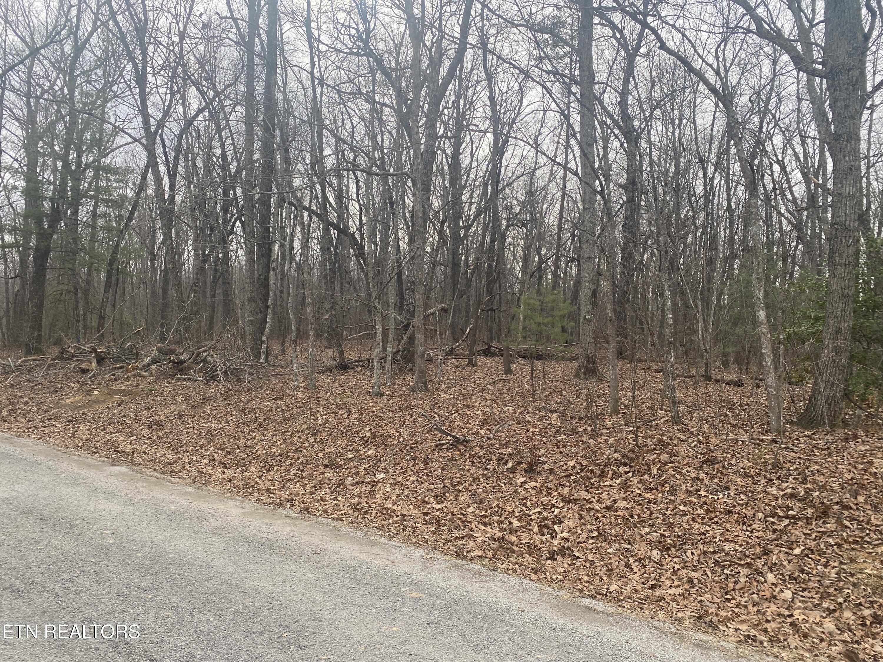 114 Folkstone Road Crossville TN 38558