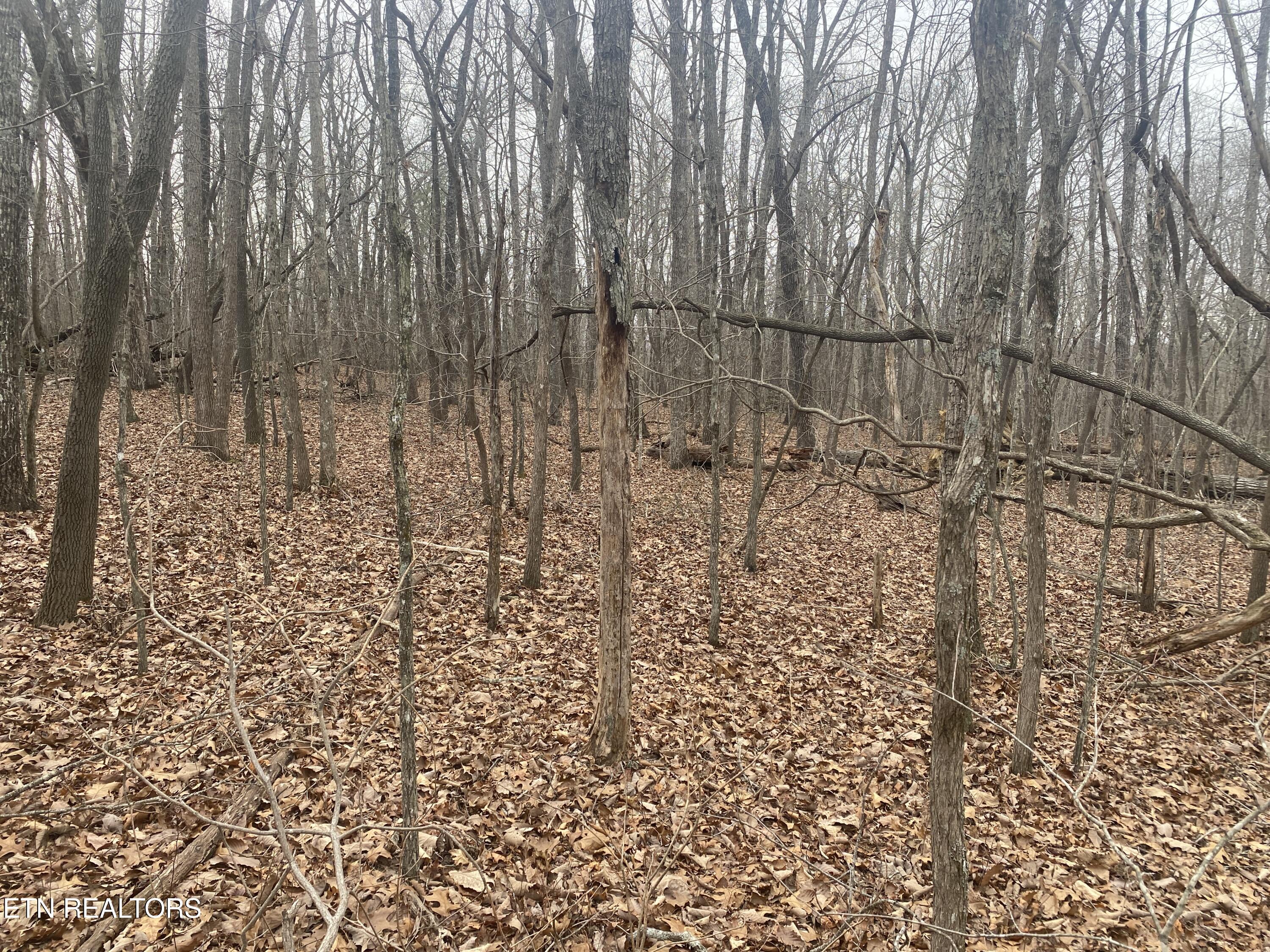 114 Folkstone Road Crossville TN 38558