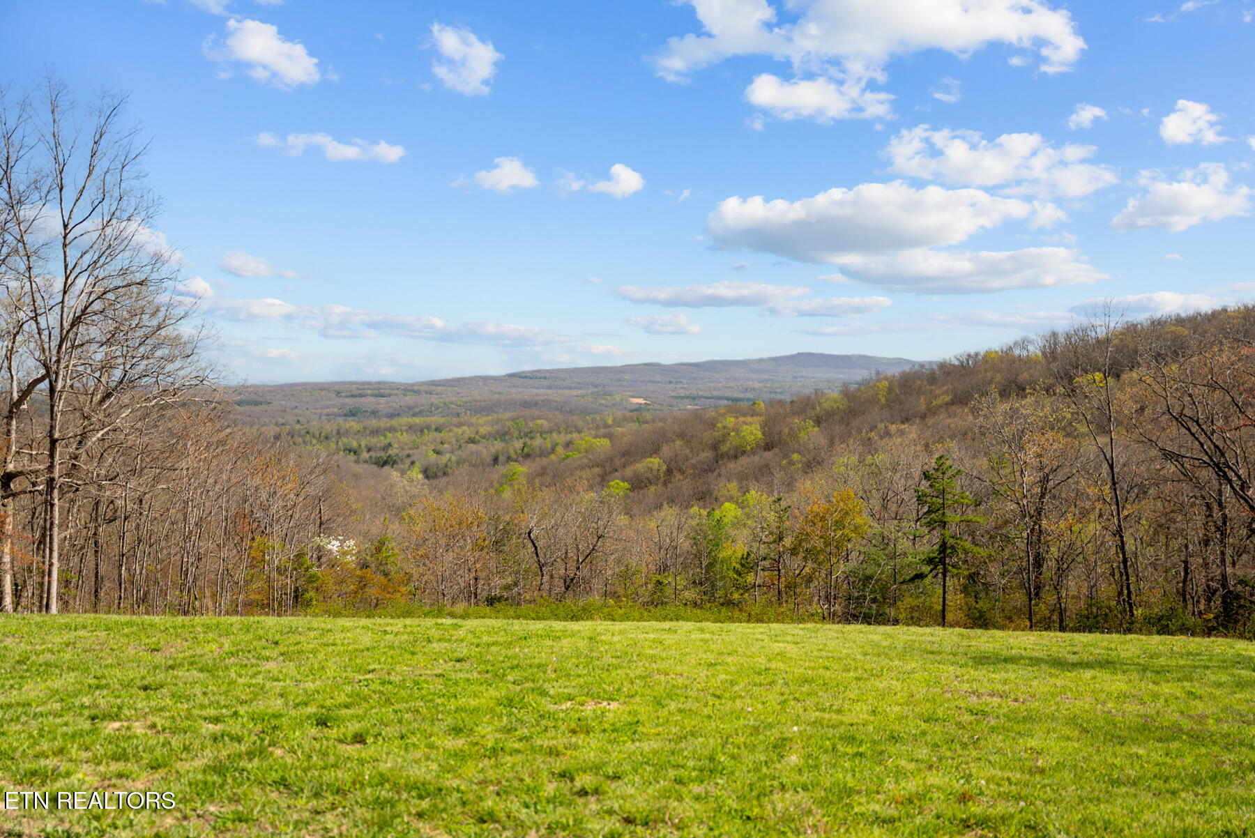 74 Black Cat Trail Rockwood TN 37854